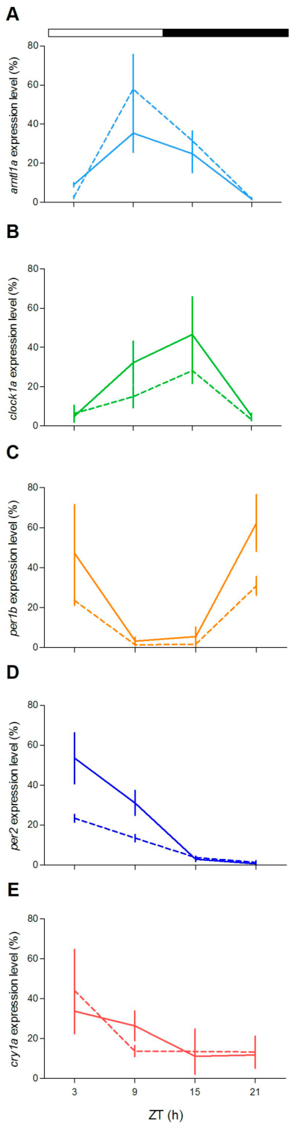 Cells 08 01342 g007 Cells 08 01342 g007