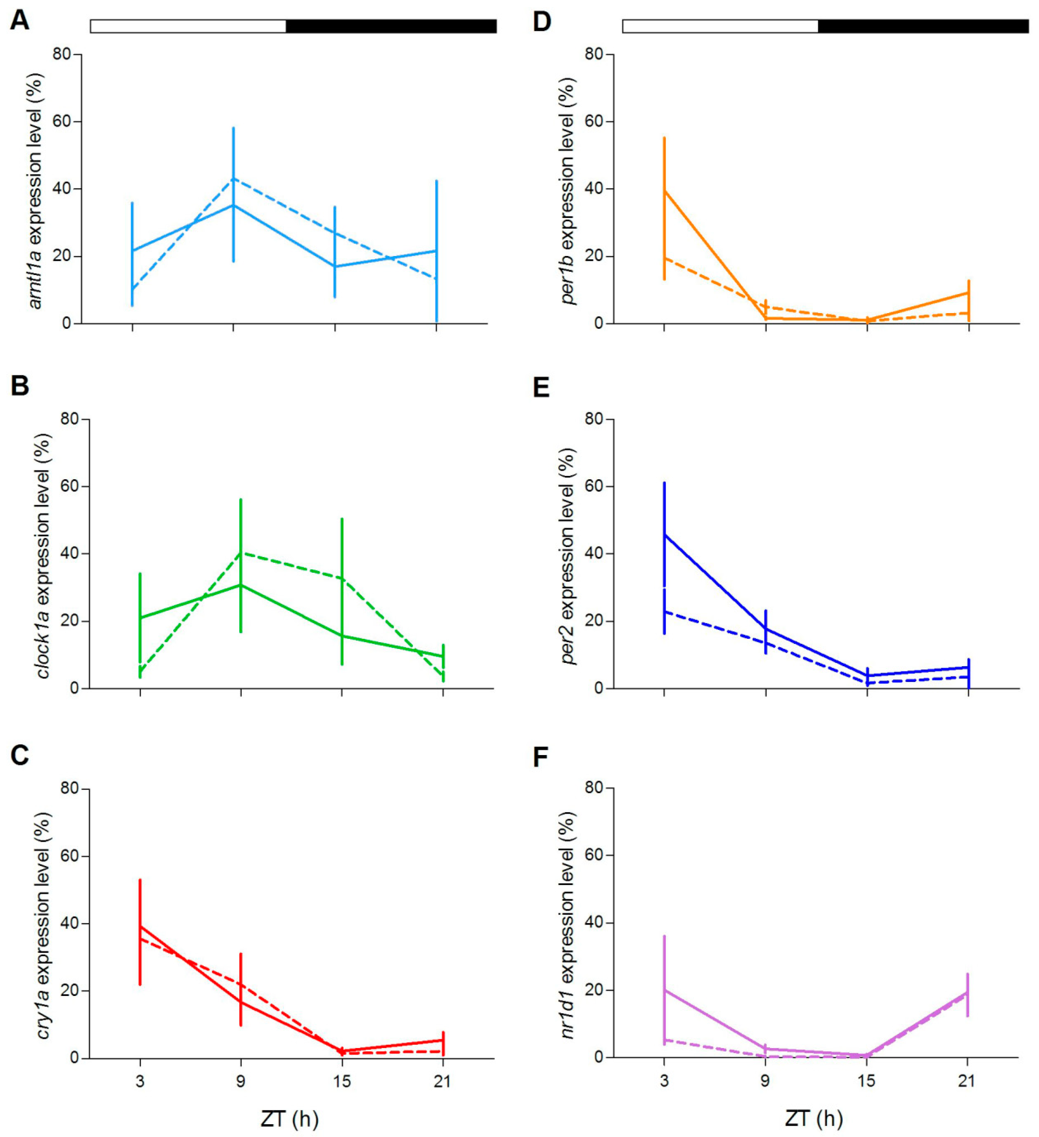 Cells 08 01342 g008 Cells 08 01342 g008