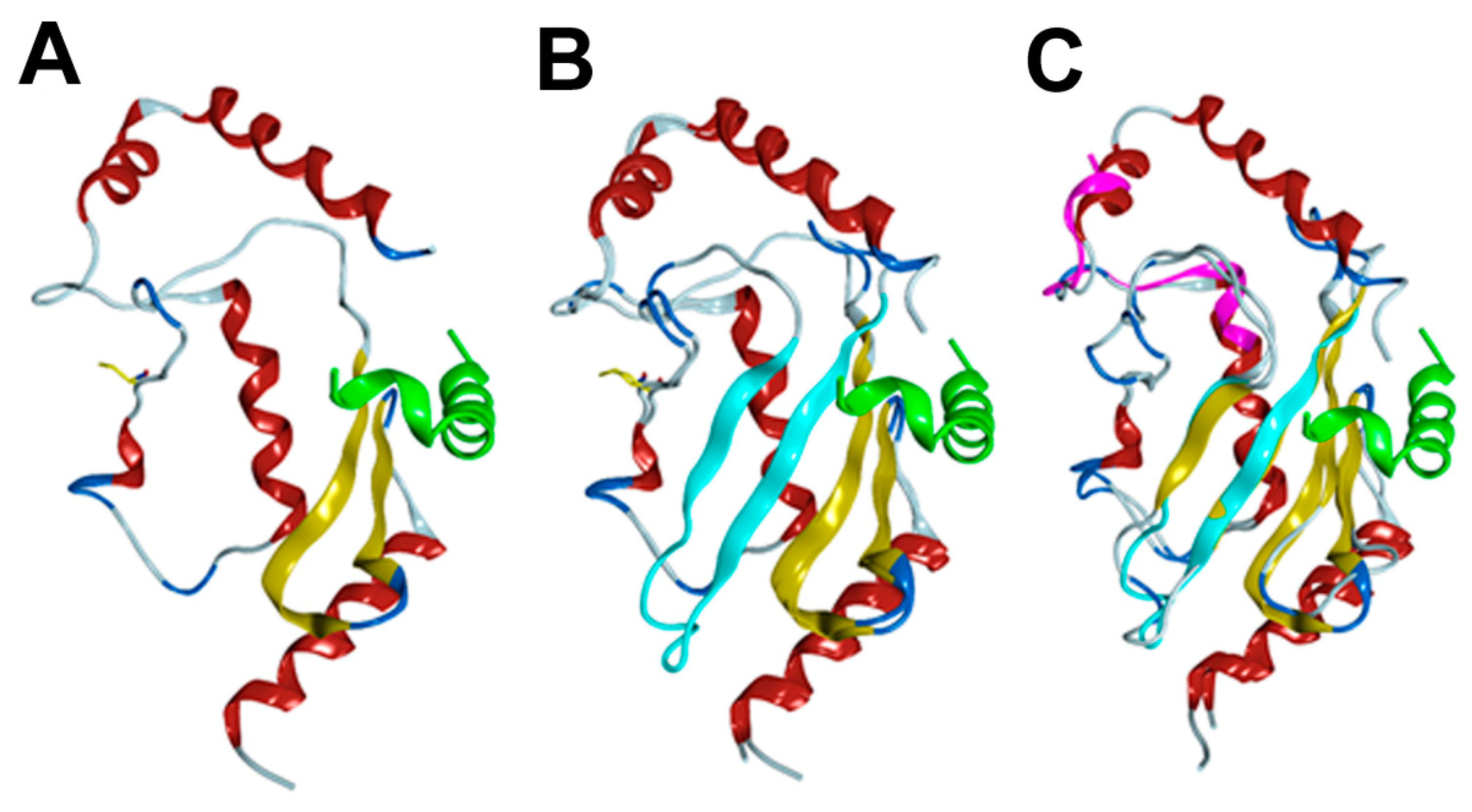 Cells 08 01375 g004 Cells 08 01375 g004