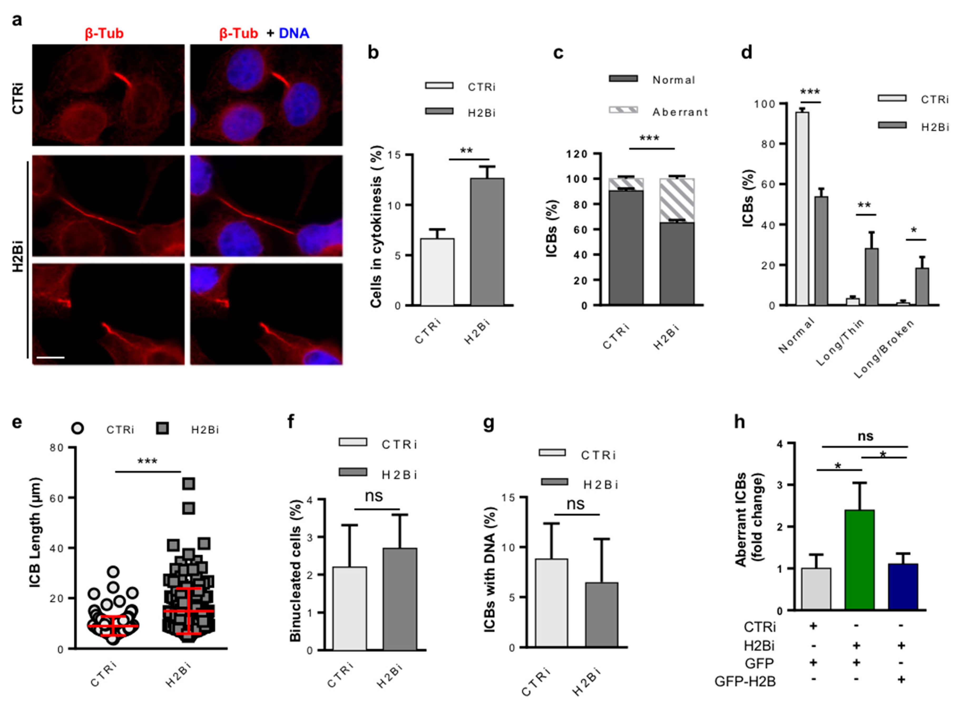 Cells 08 01391 g002