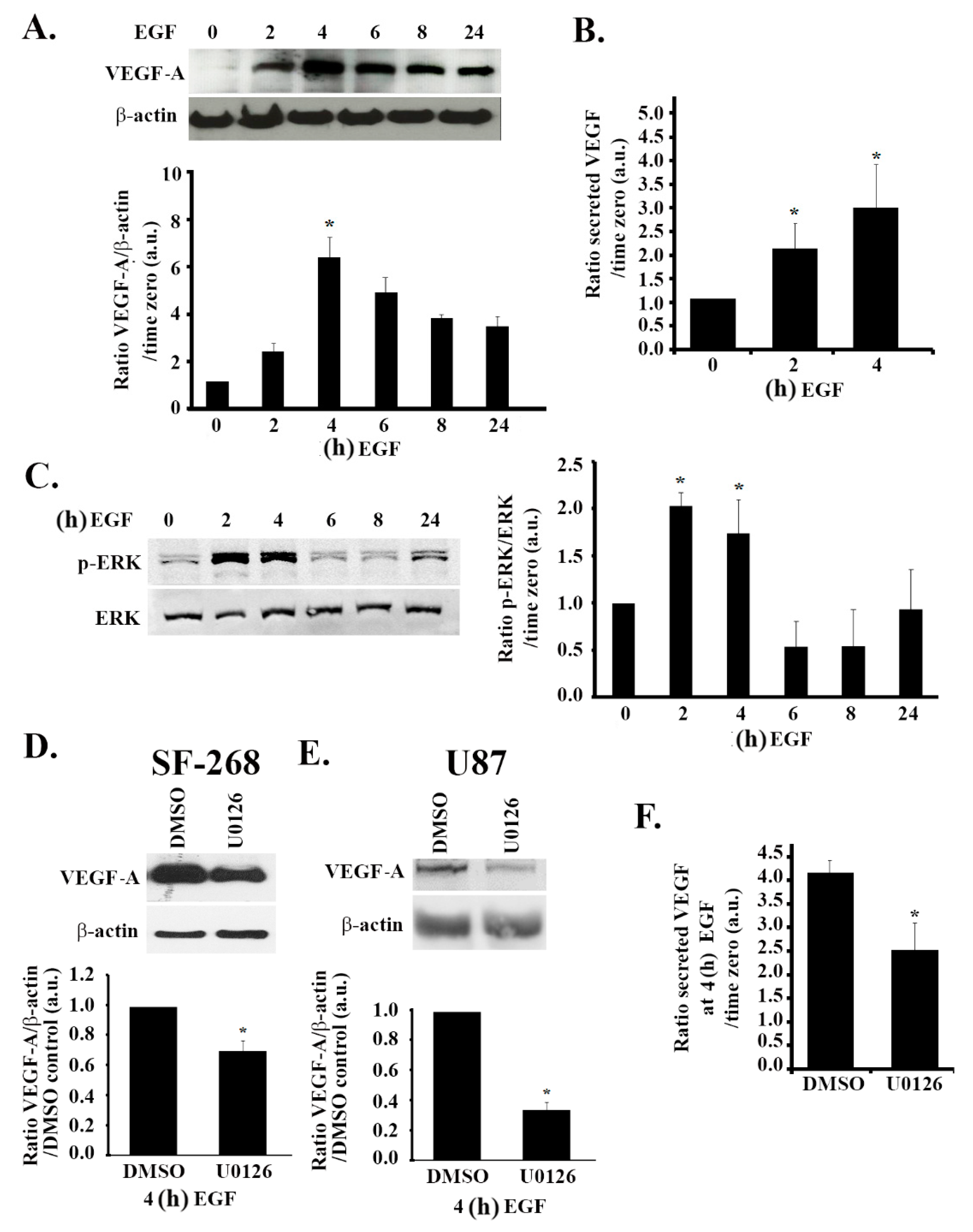 Cells 08 01397 g004 Cells 08 01397 g004