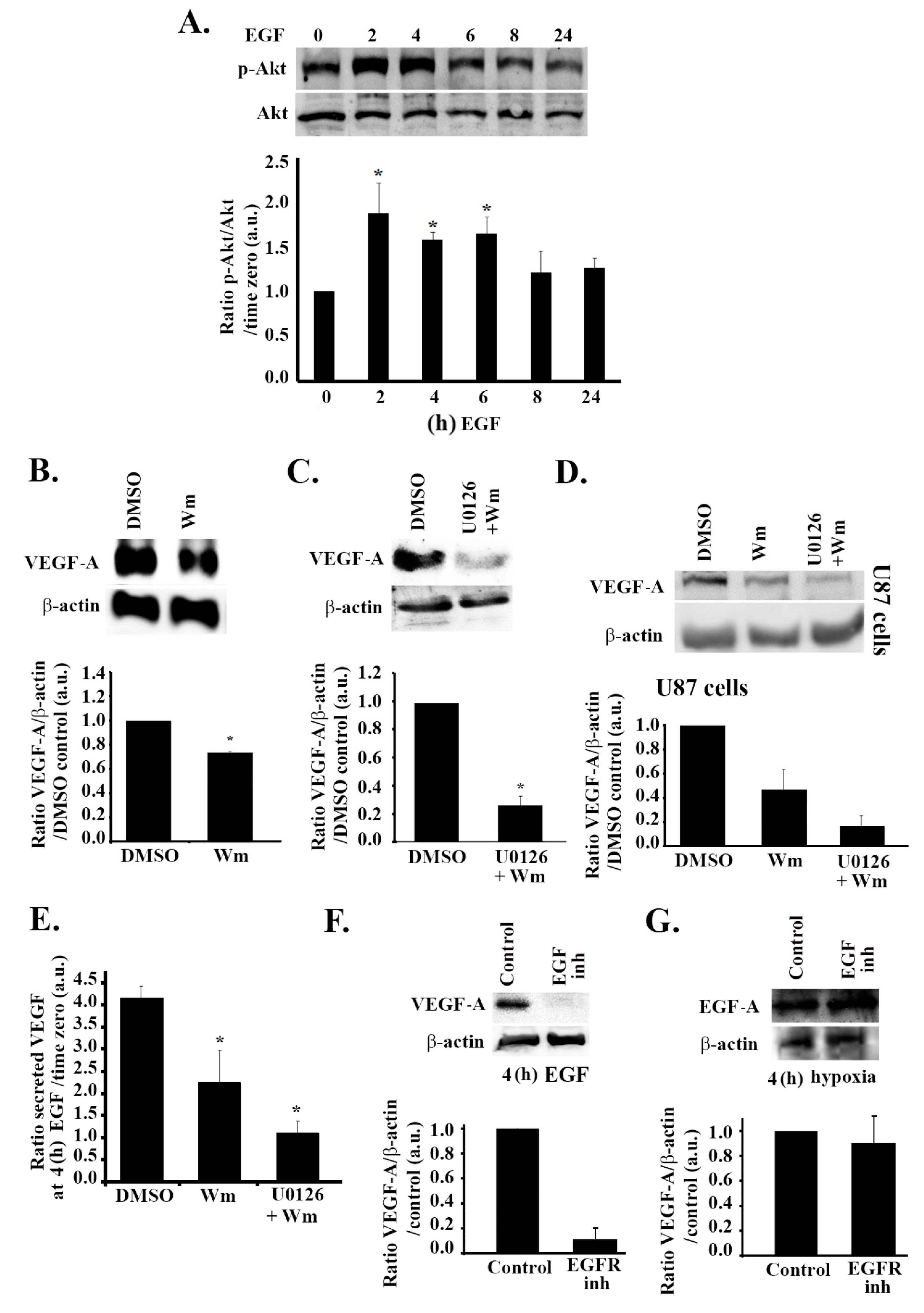 Cells 08 01397 g005 Cells 08 01397 g005