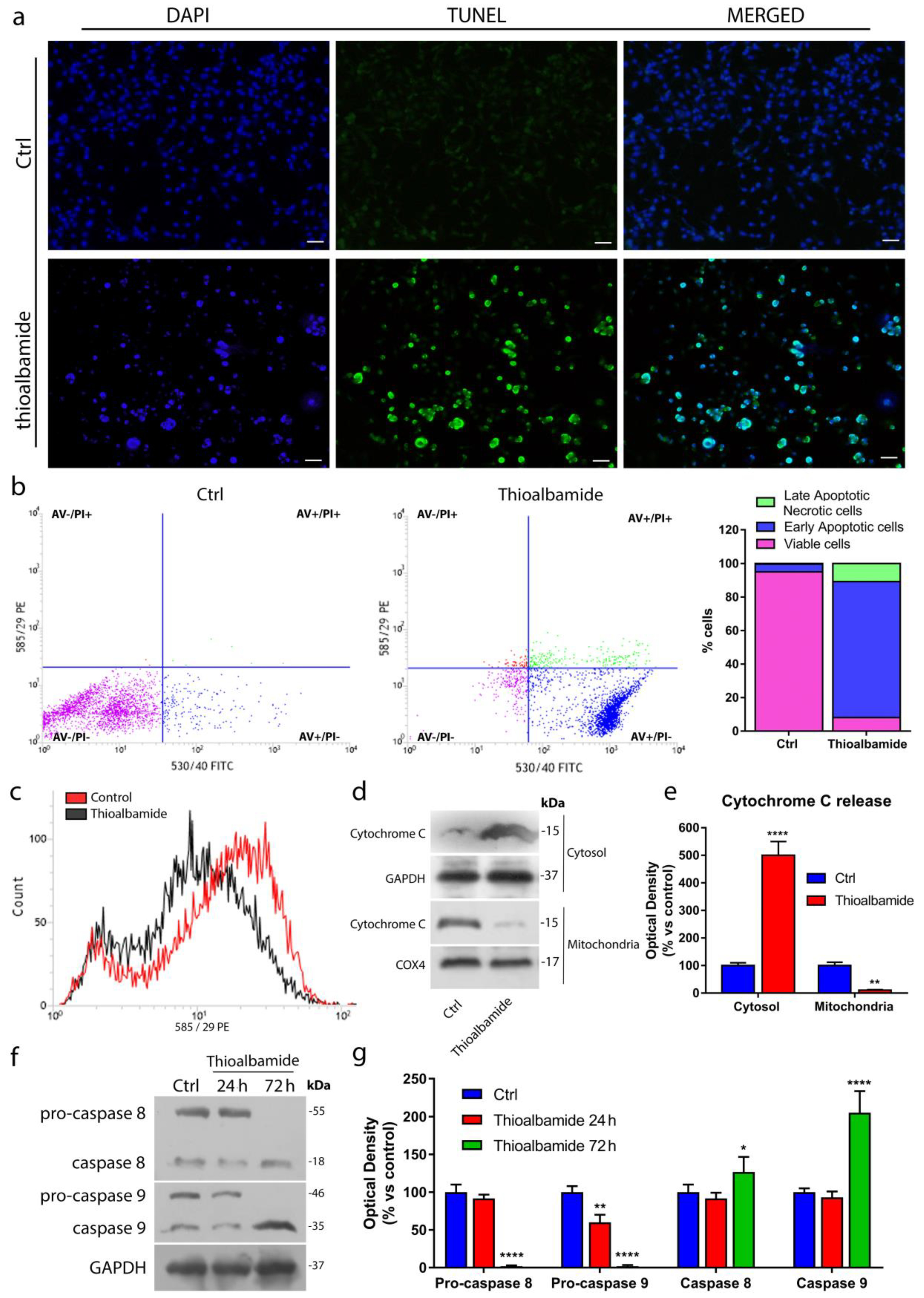 Cells 08 01408 g004 Cells 08 01408 g004