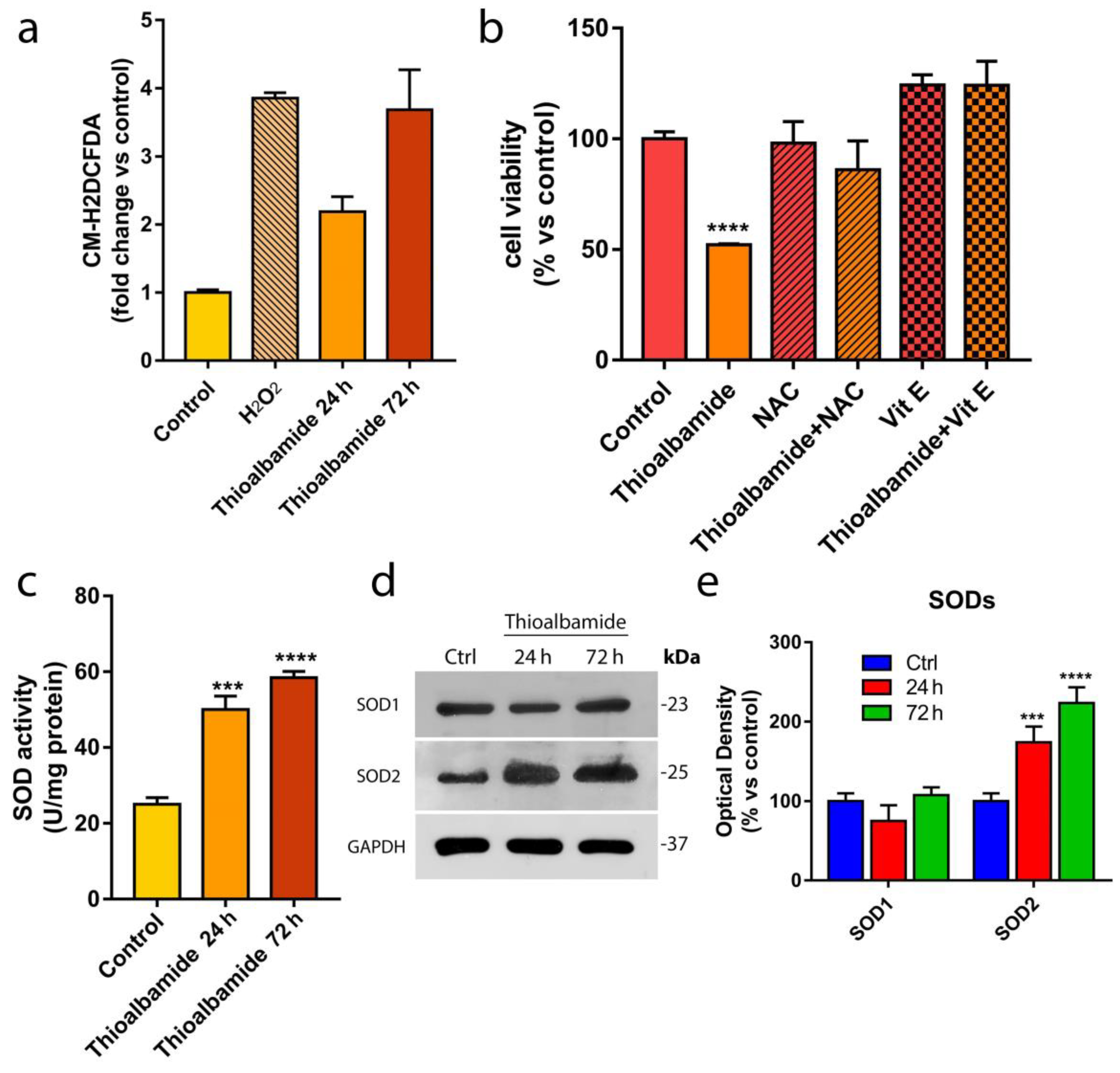 Cells 08 01408 g005 Cells 08 01408 g005