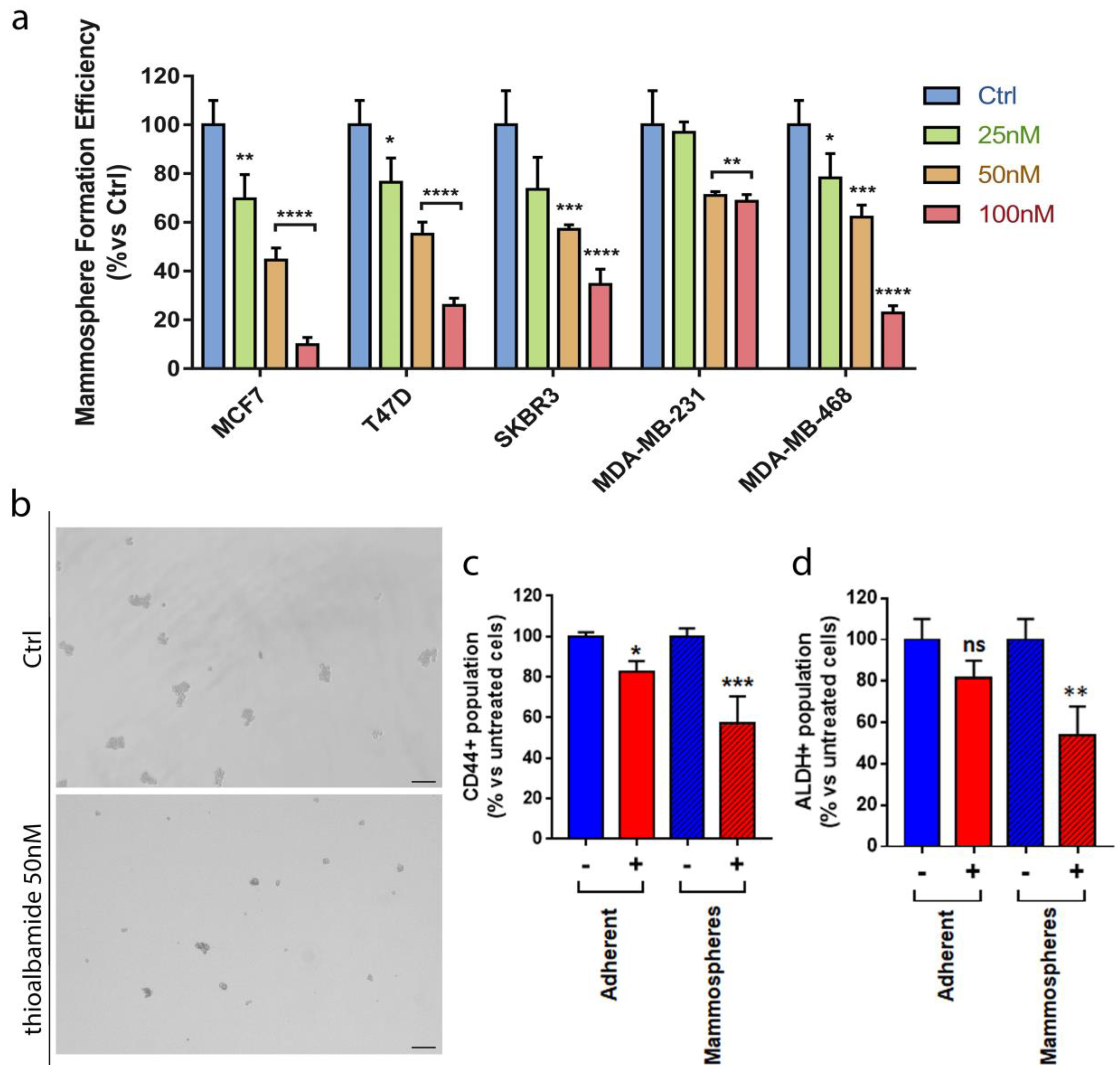 Cells 08 01408 g007 Cells 08 01408 g007