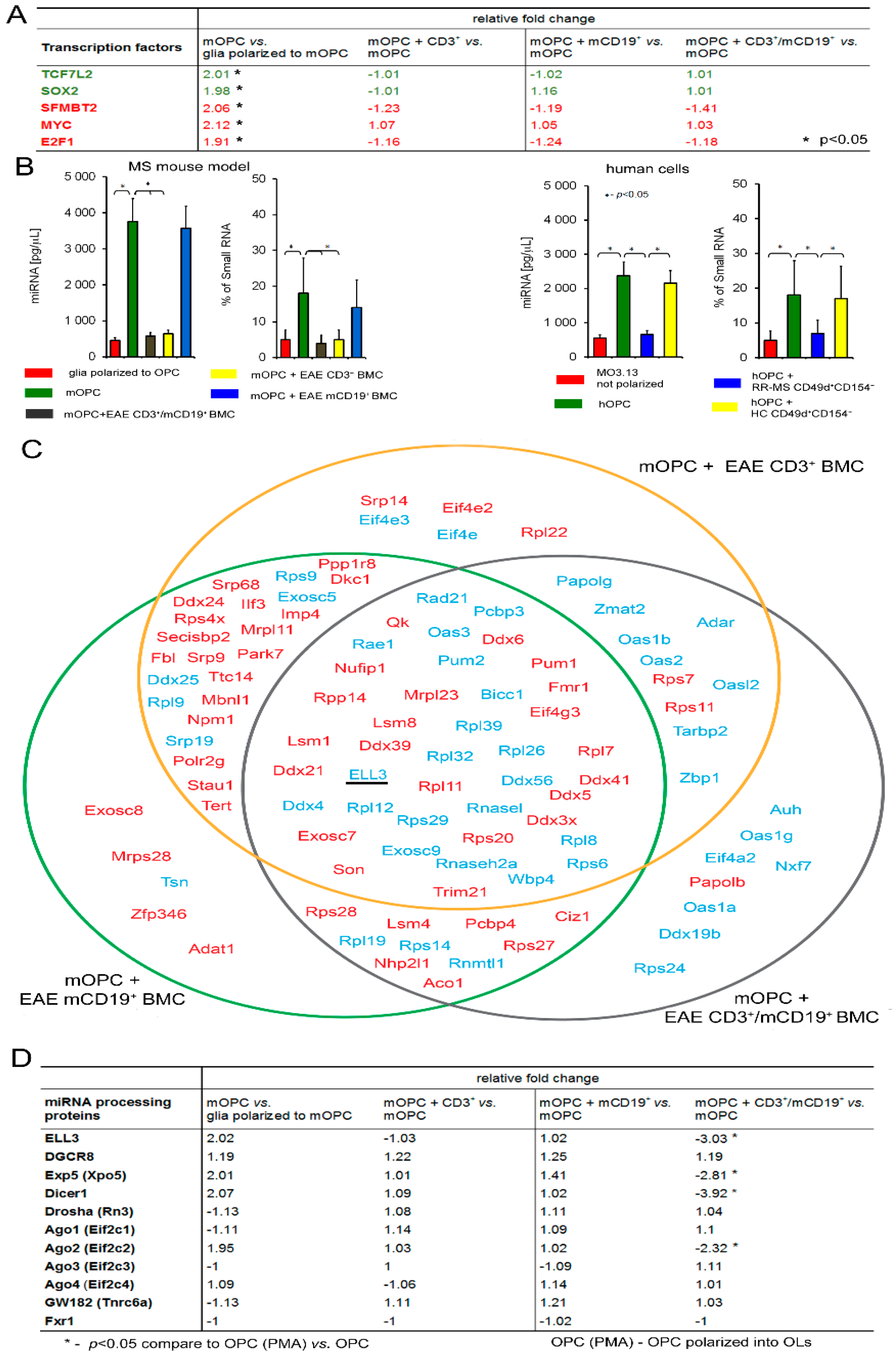 Cells 08 01508 g003 Cells 08 01508 g003