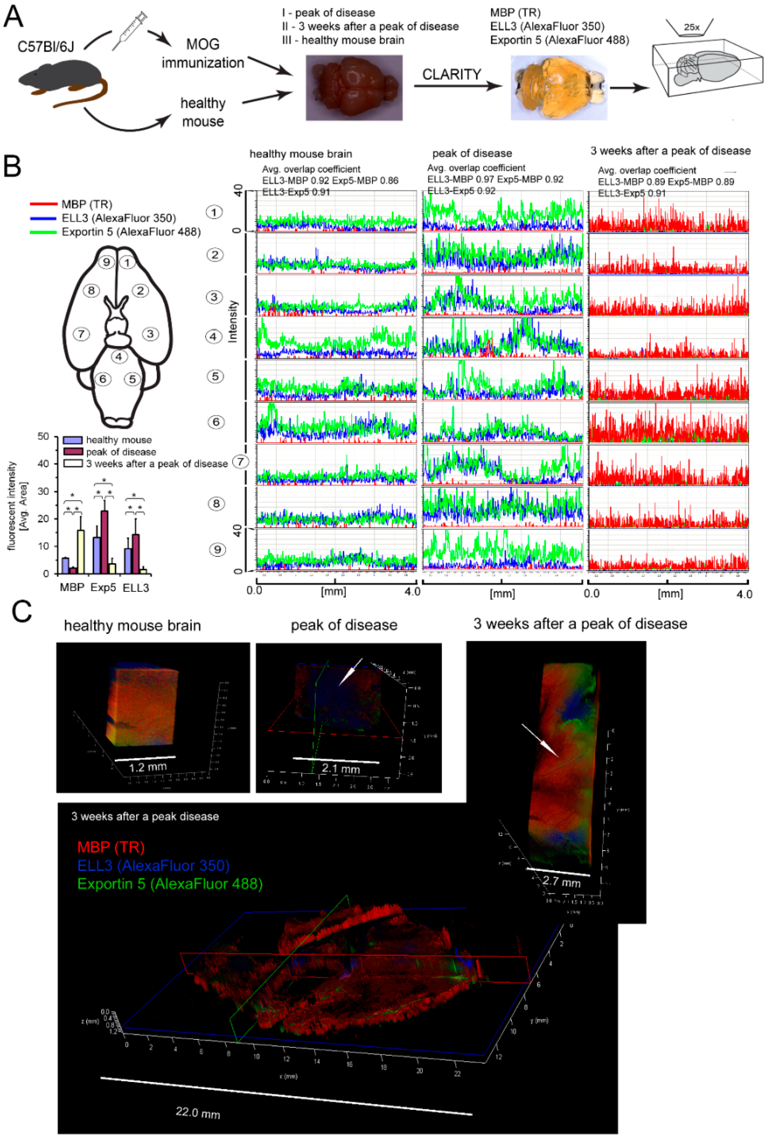 Cells 08 01508 g004 Cells 08 01508 g004