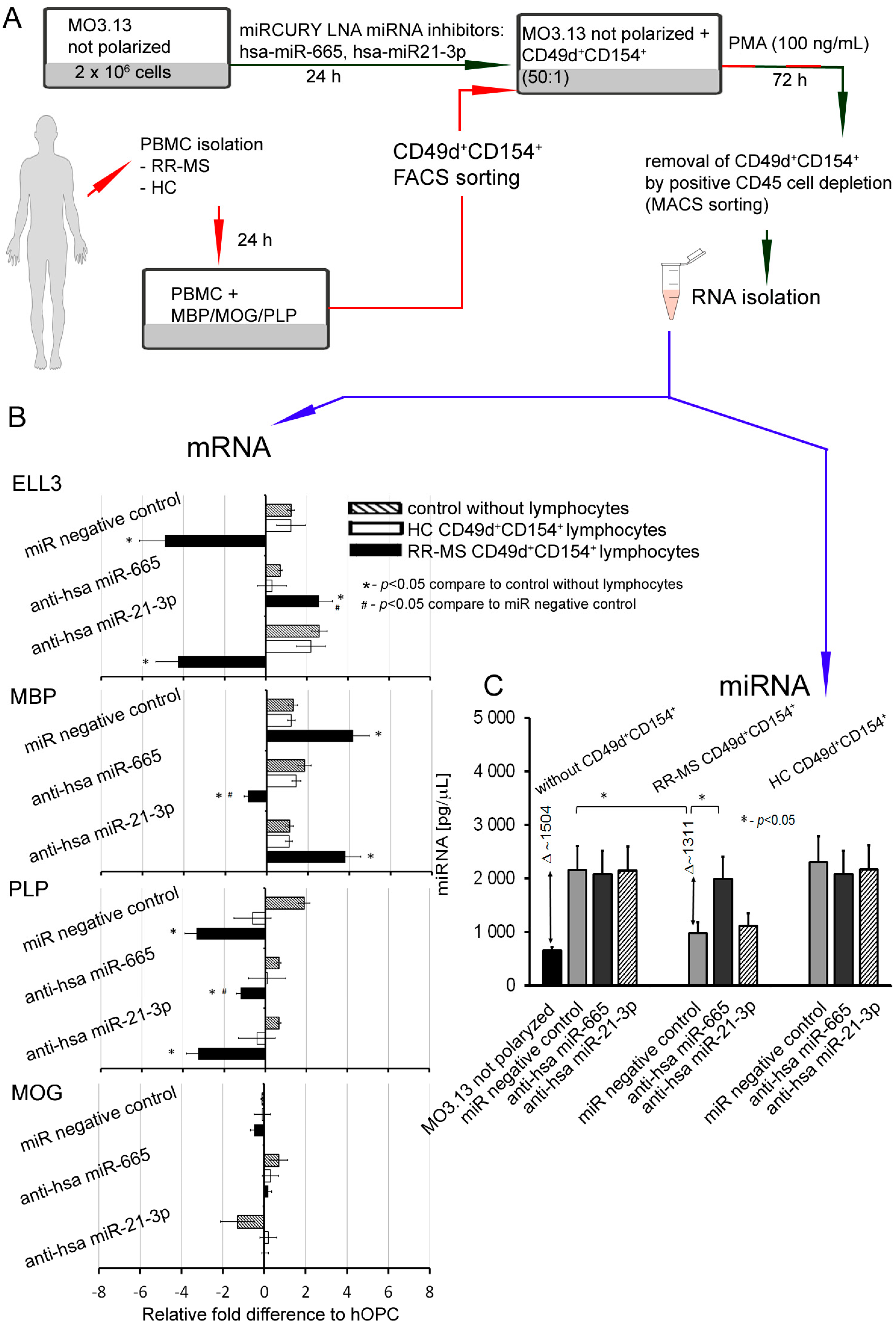 Cells 08 01508 g006 Cells 08 01508 g006