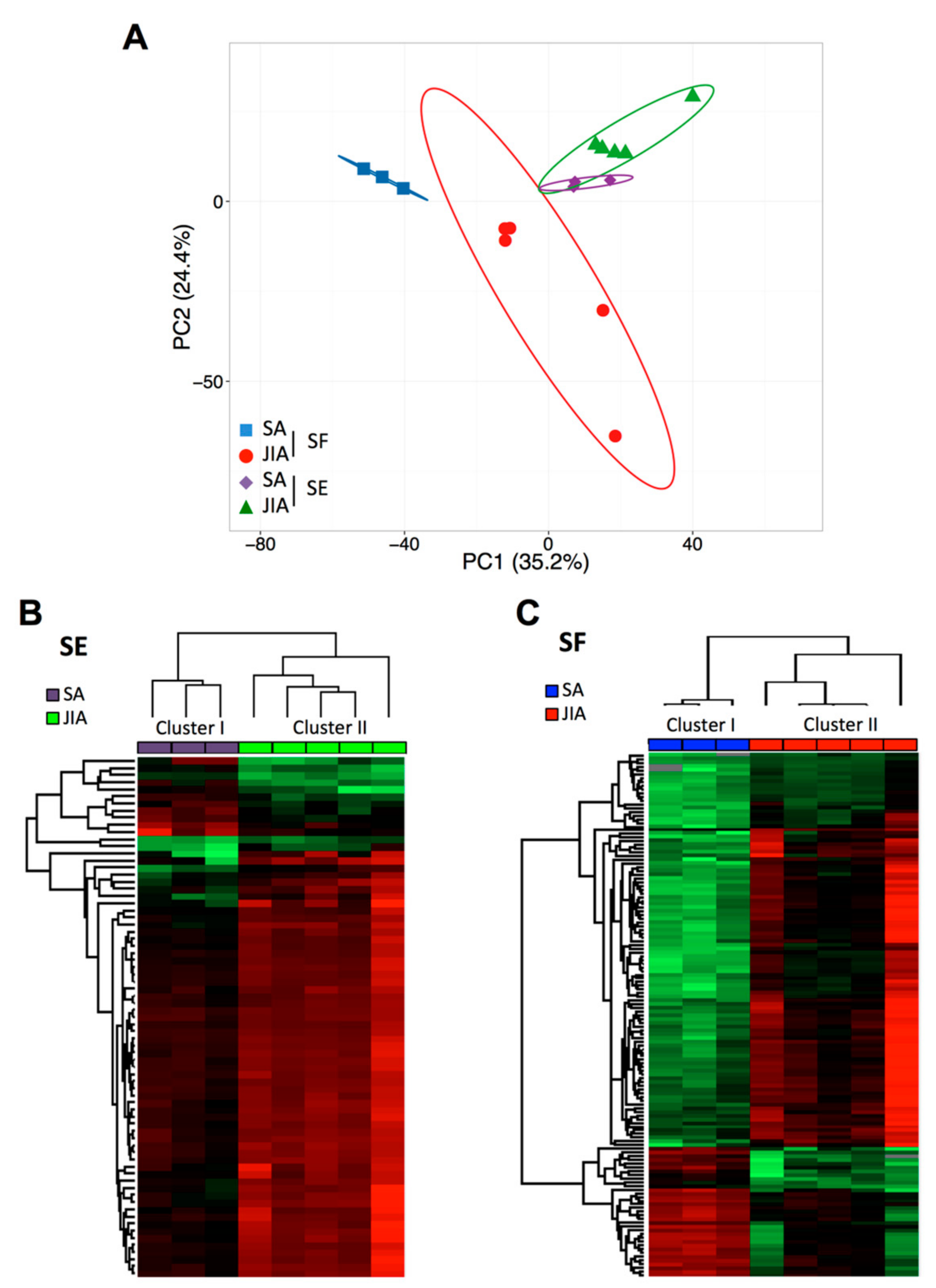 Cells 08 01521 g001 Cells 08 01521 g001