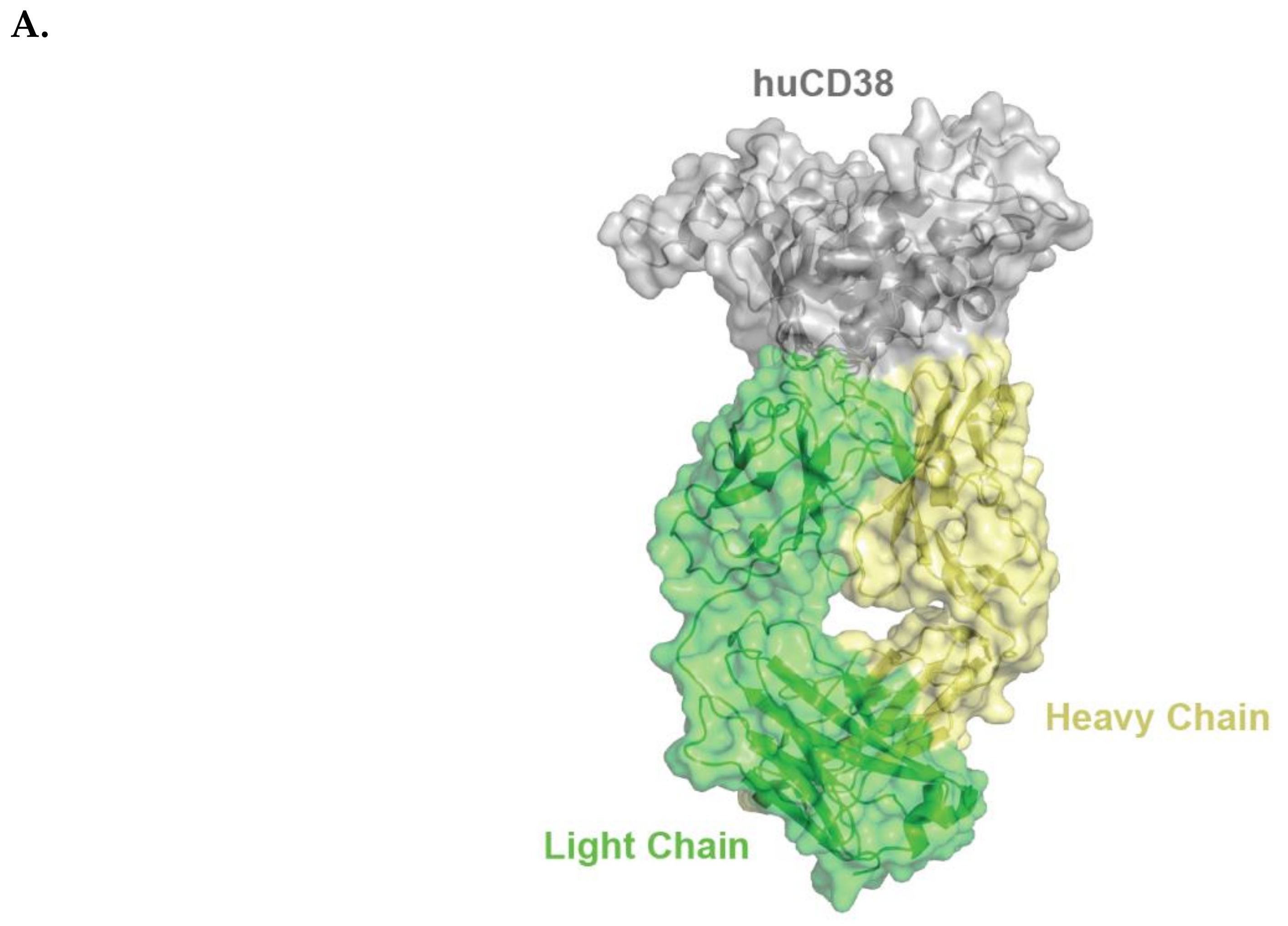 Cells 08 01522 g001a Cells 08 01522 g001a