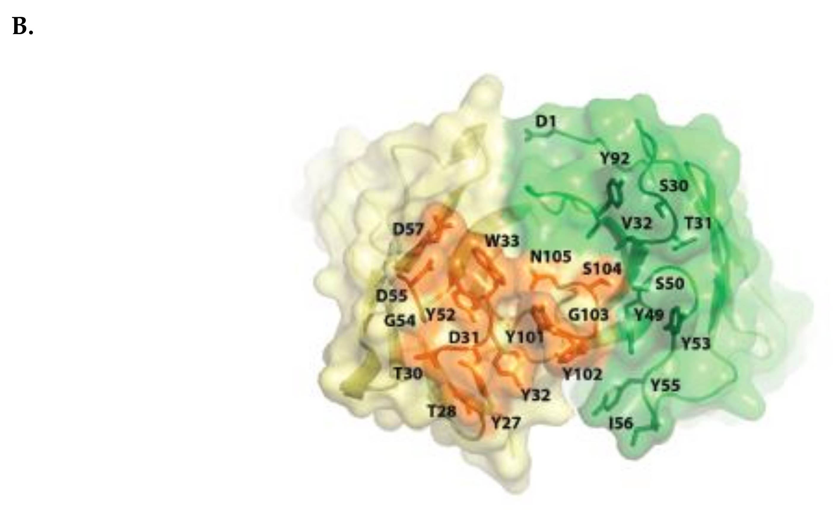 Cells 08 01522 g001b Cells 08 01522 g001b