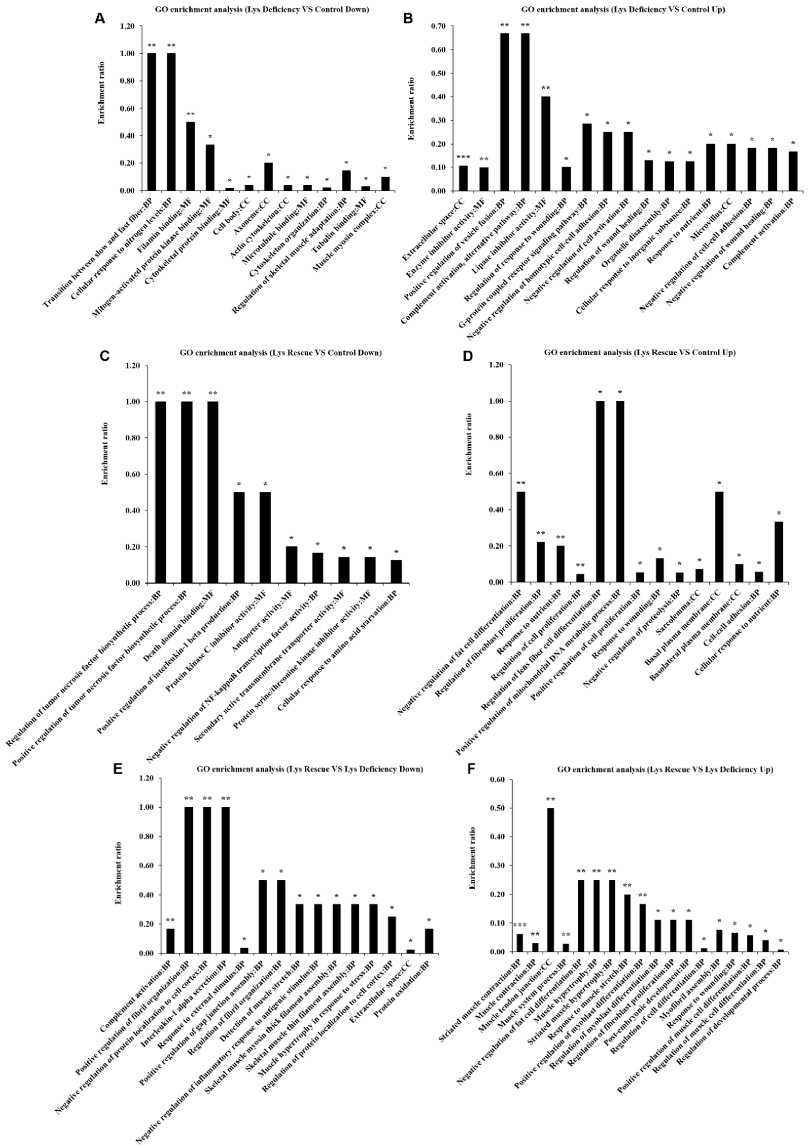 Cells 08 01549 g001 Cells 08 01549 g001