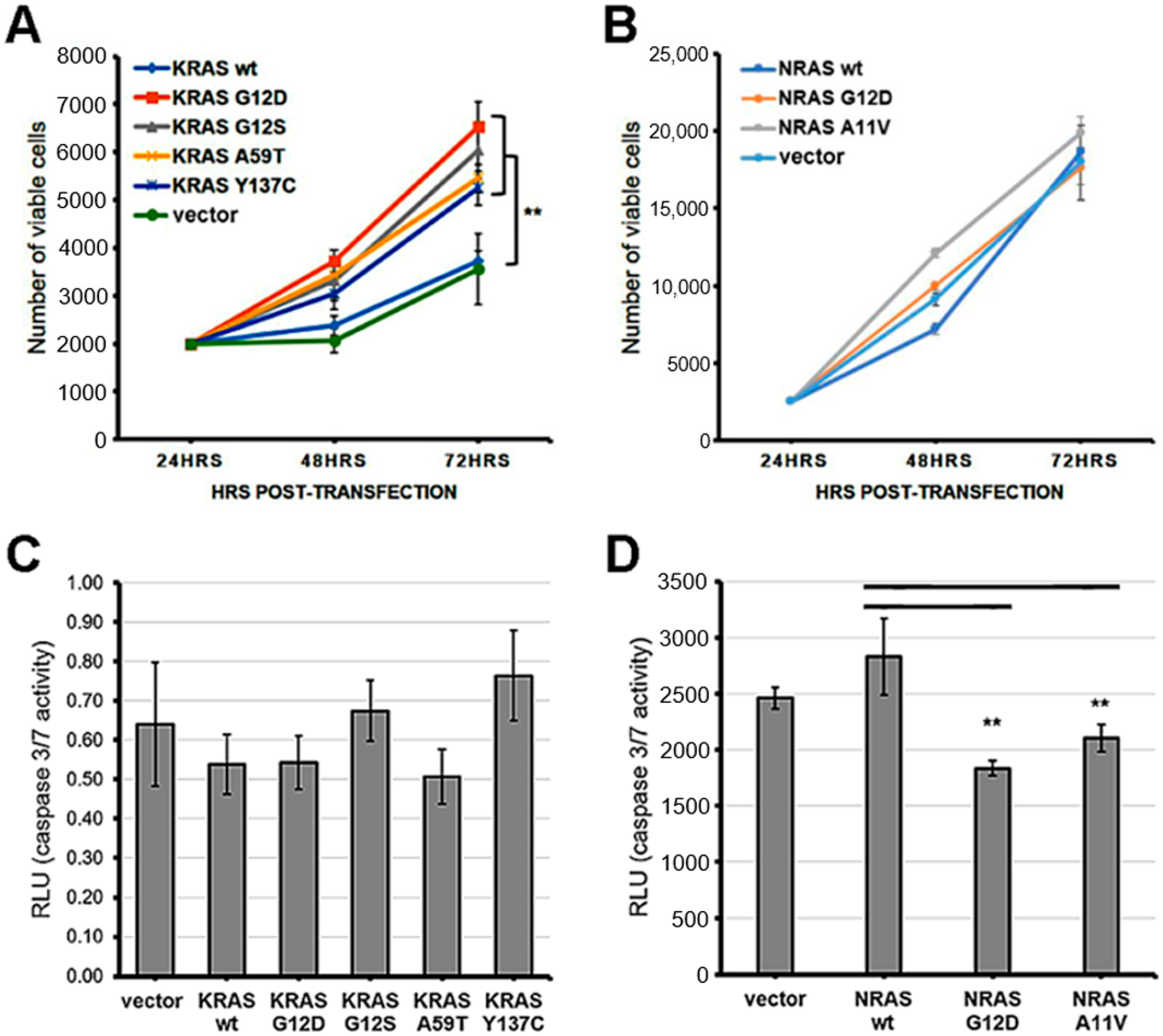 Cells 08 01557 g001 Cells 08 01557 g001