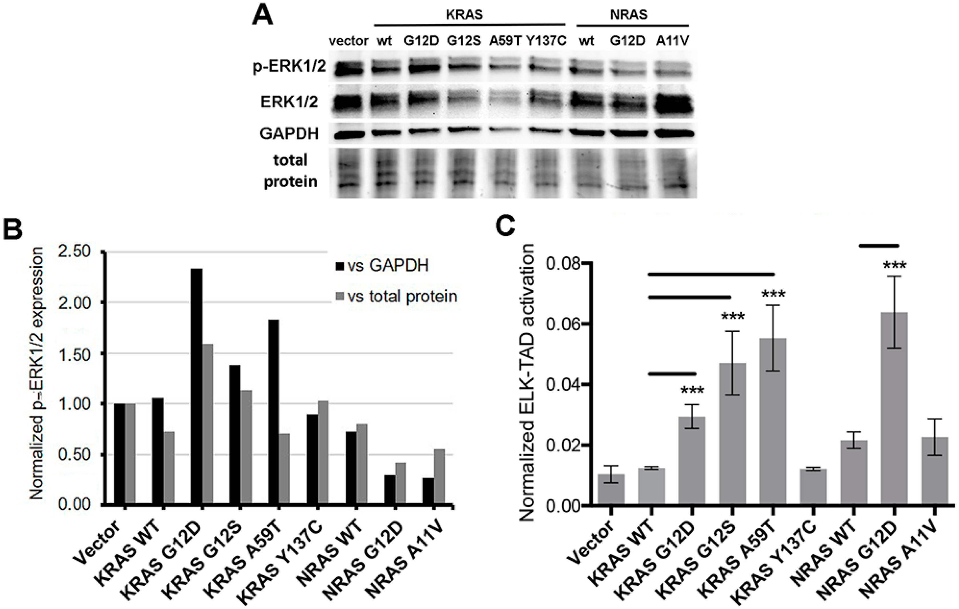 Cells 08 01557 g005 Cells 08 01557 g005