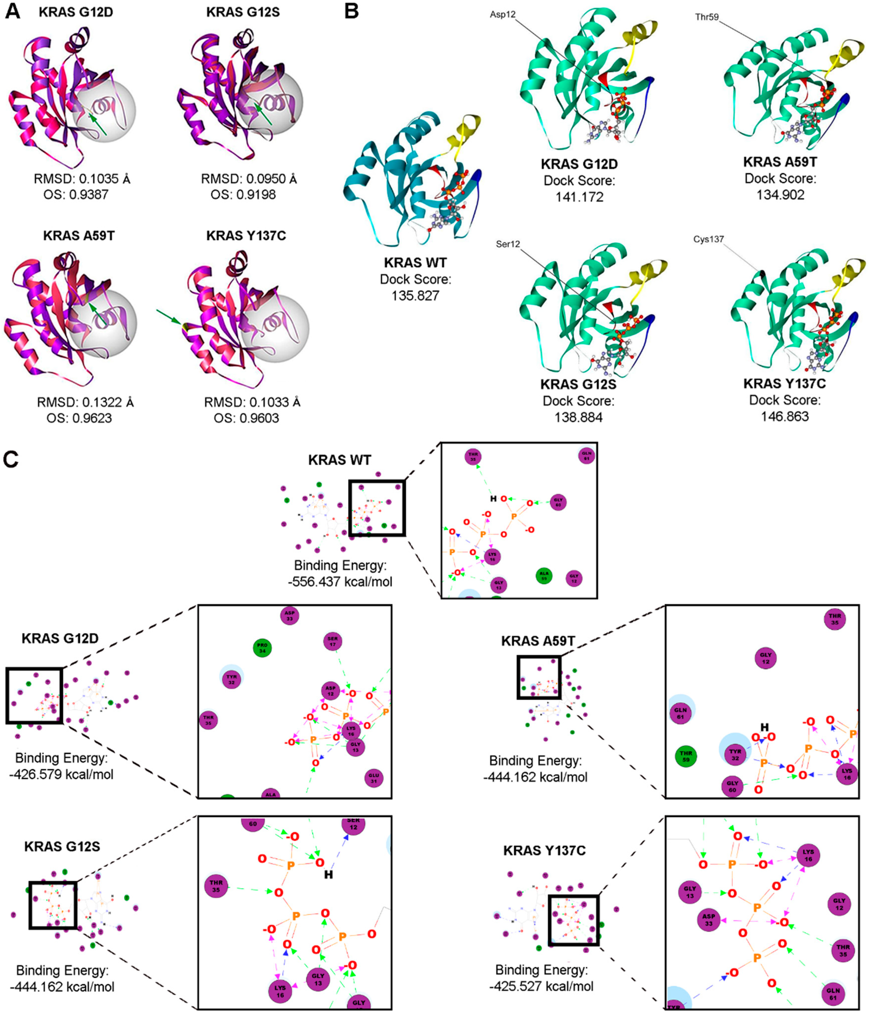 Cells 08 01557 g006 Cells 08 01557 g006