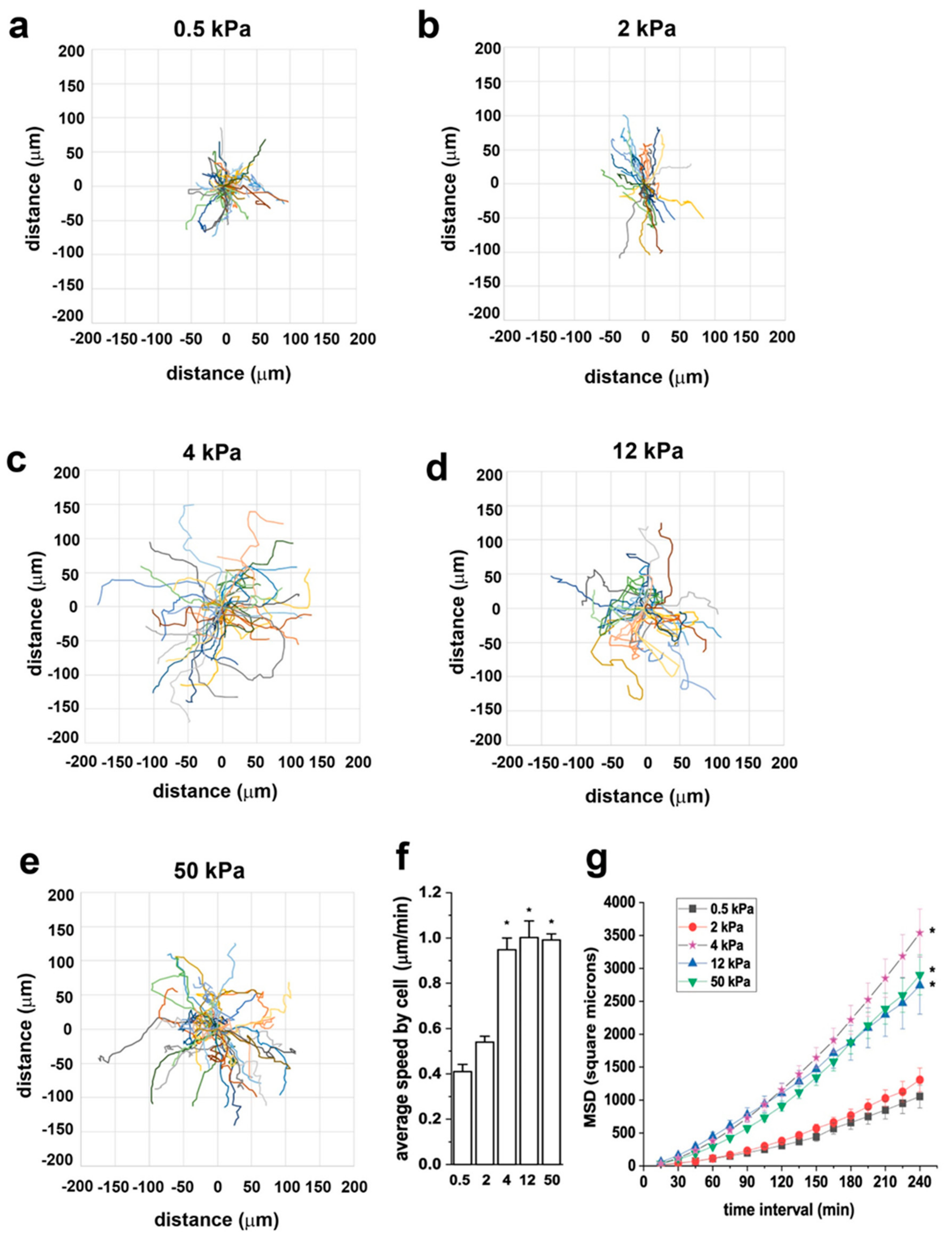 Cells 08 01561 g004 Cells 08 01561 g004