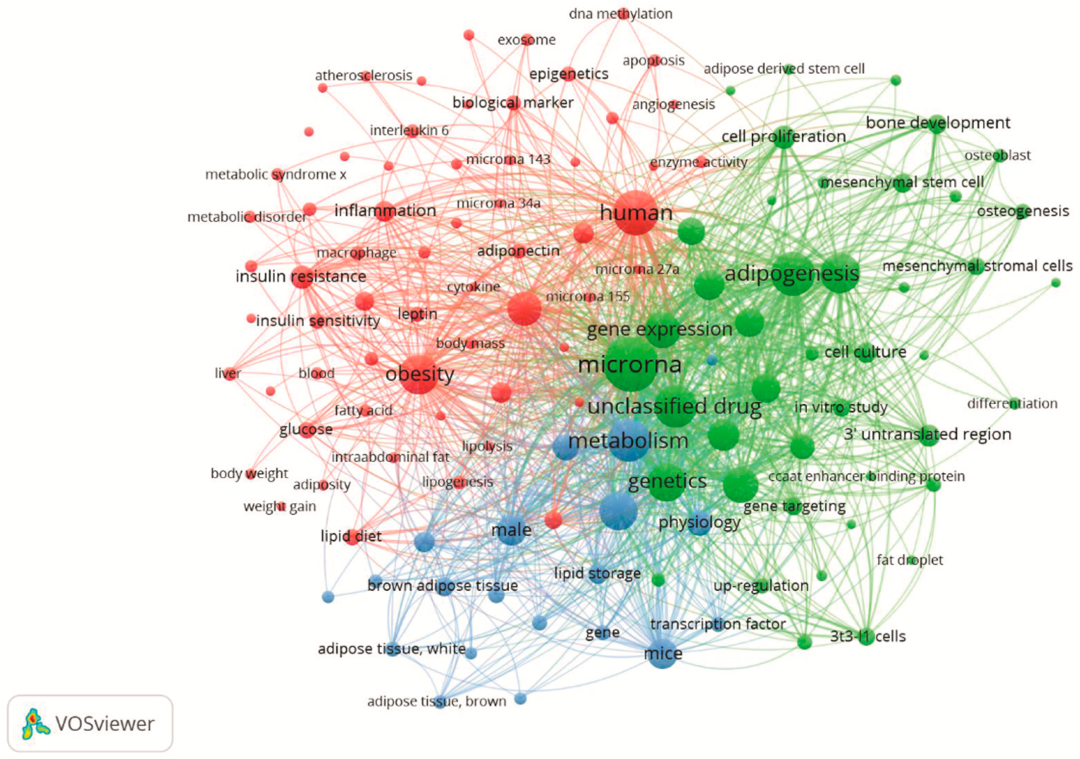 Cells 08 01581 g003 Cells 08 01581 g003