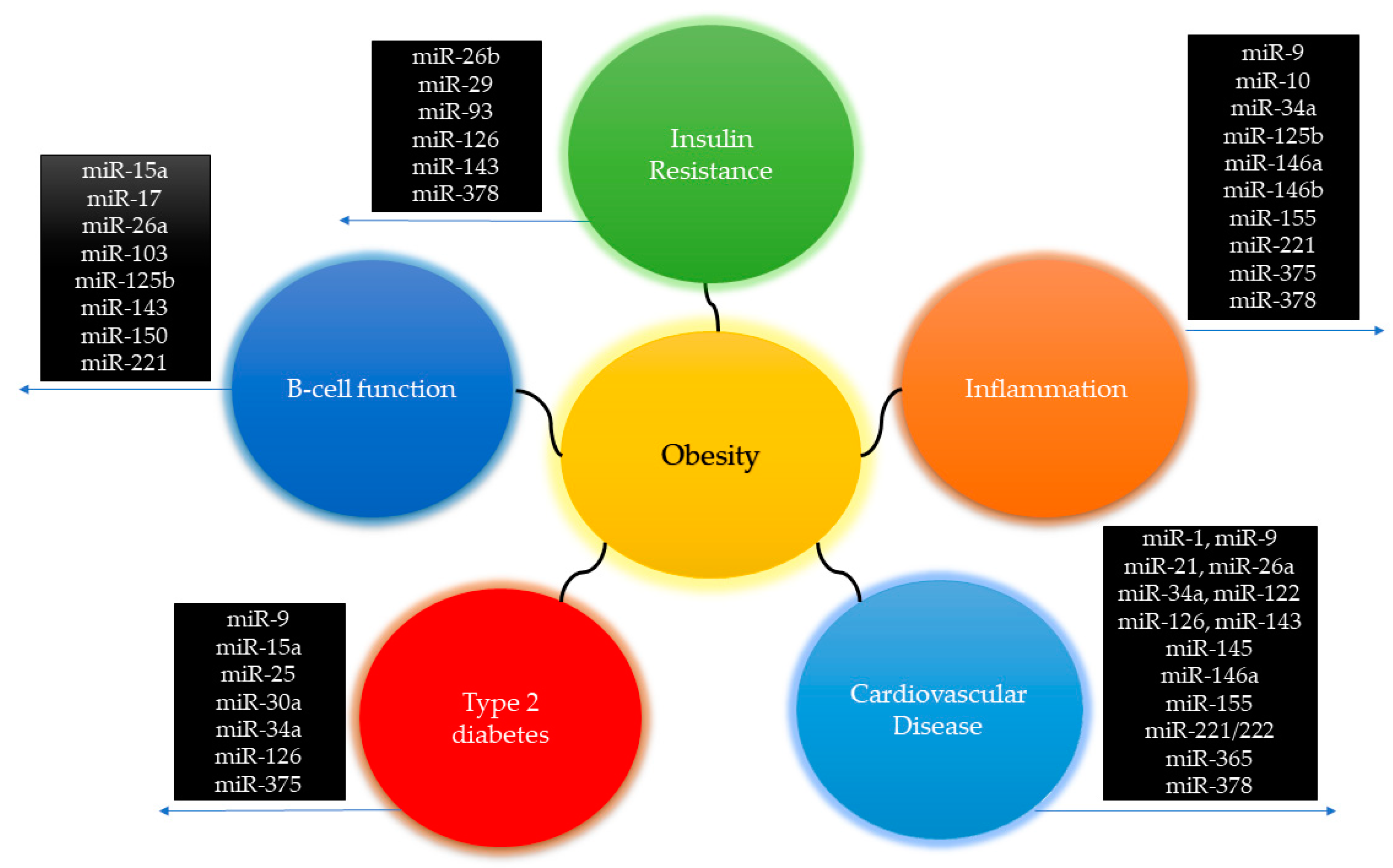 Cells 08 01581 g005 Cells 08 01581 g005