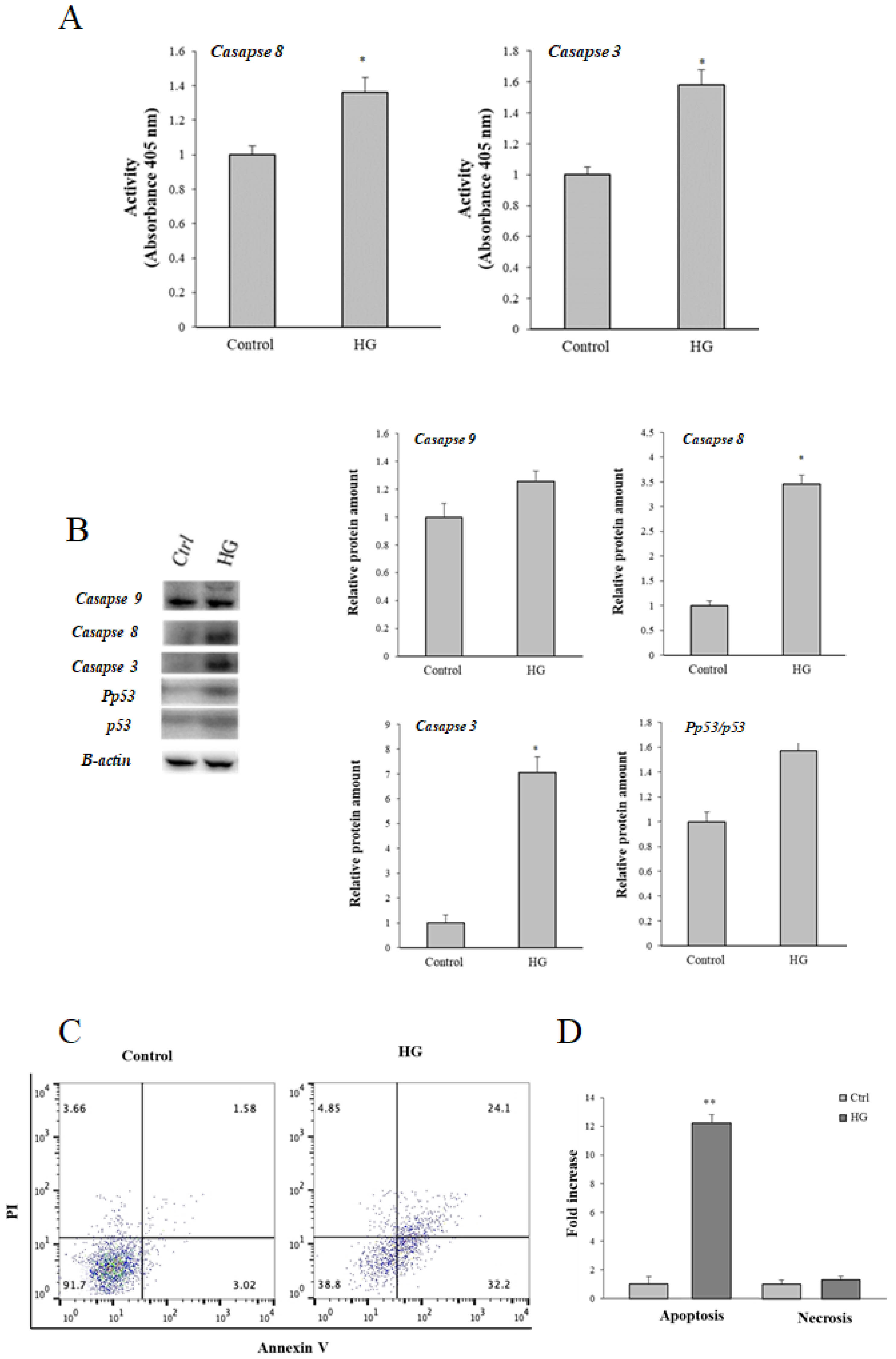 Cells 08 01616 g004 Cells 08 01616 g004