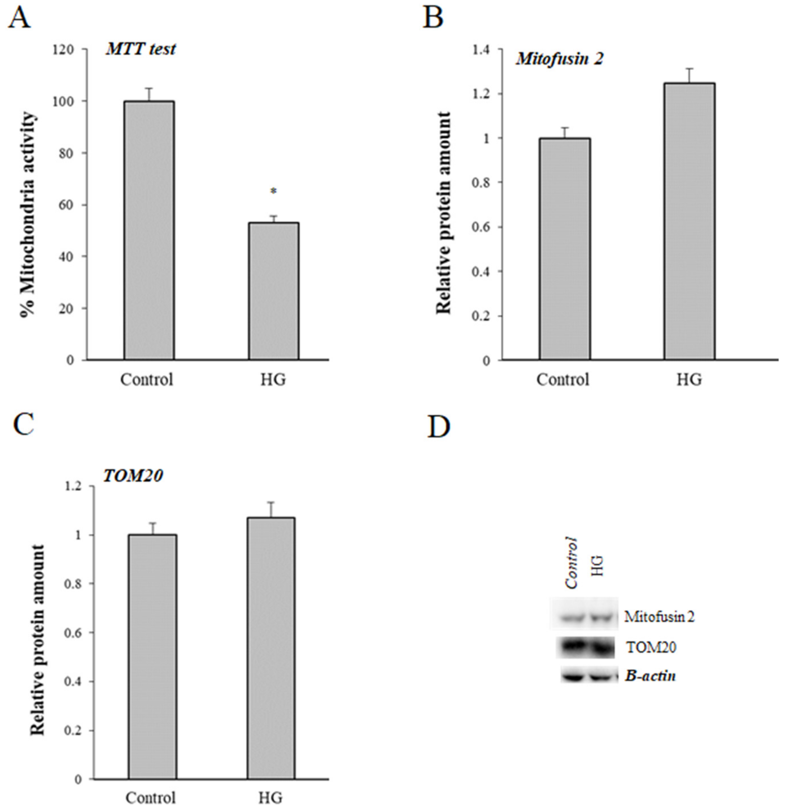 Cells 08 01616 g005 Cells 08 01616 g005