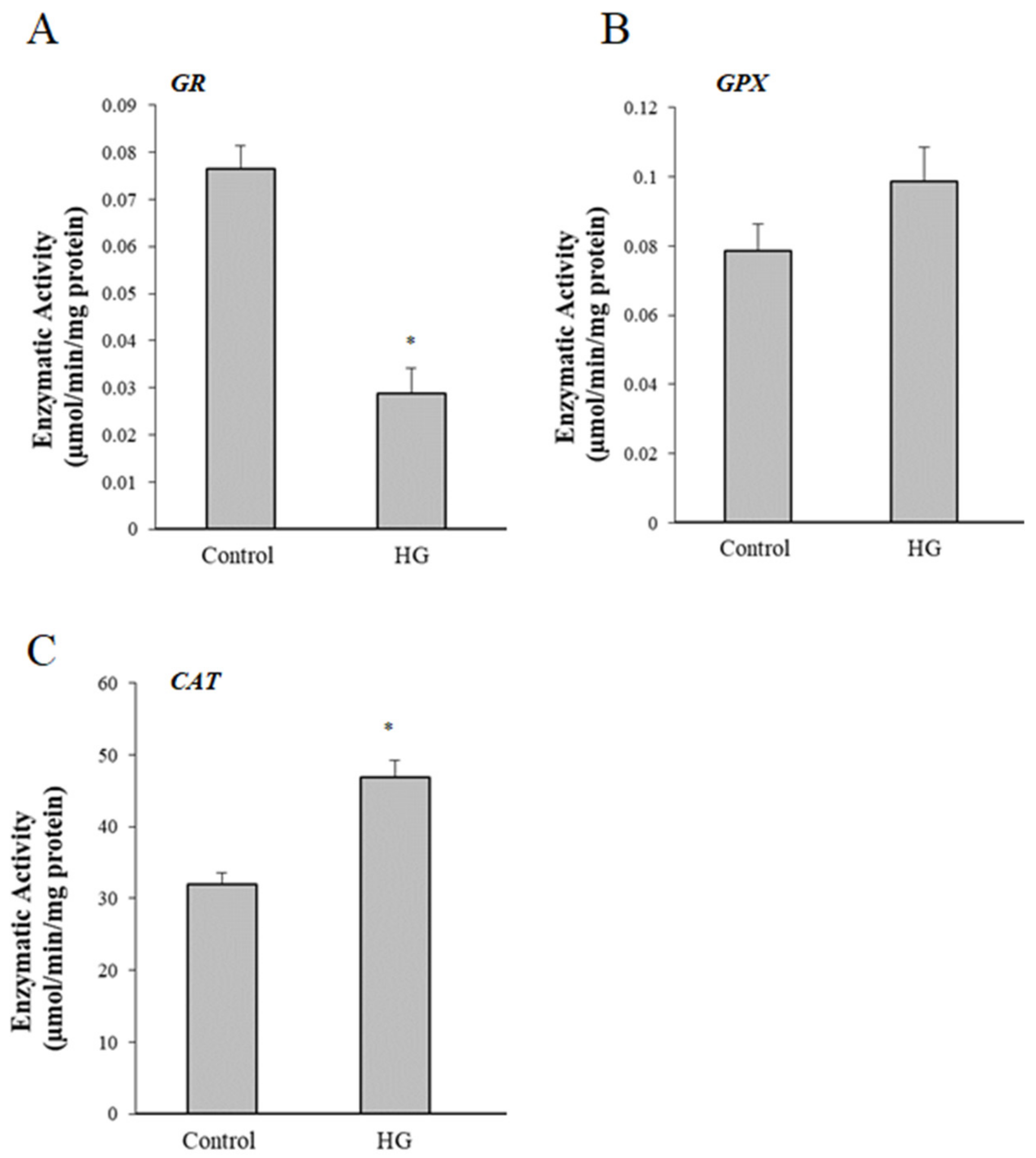 Cells 08 01616 g006 Cells 08 01616 g006