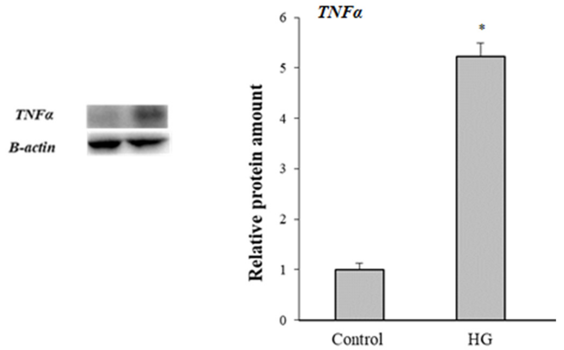 Cells 08 01616 g007 Cells 08 01616 g007