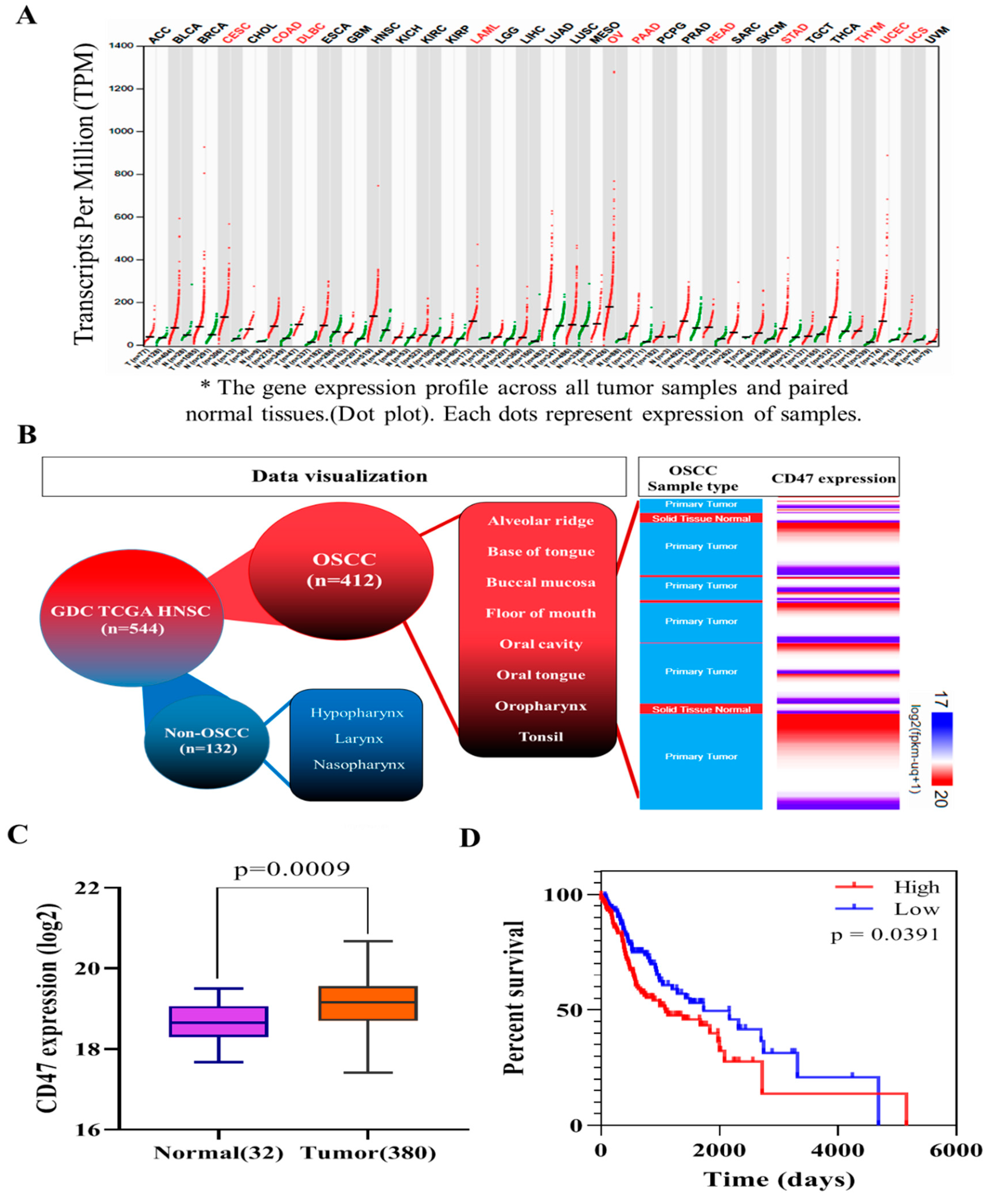 Cells 08 01658 g001 Cells 08 01658 g001