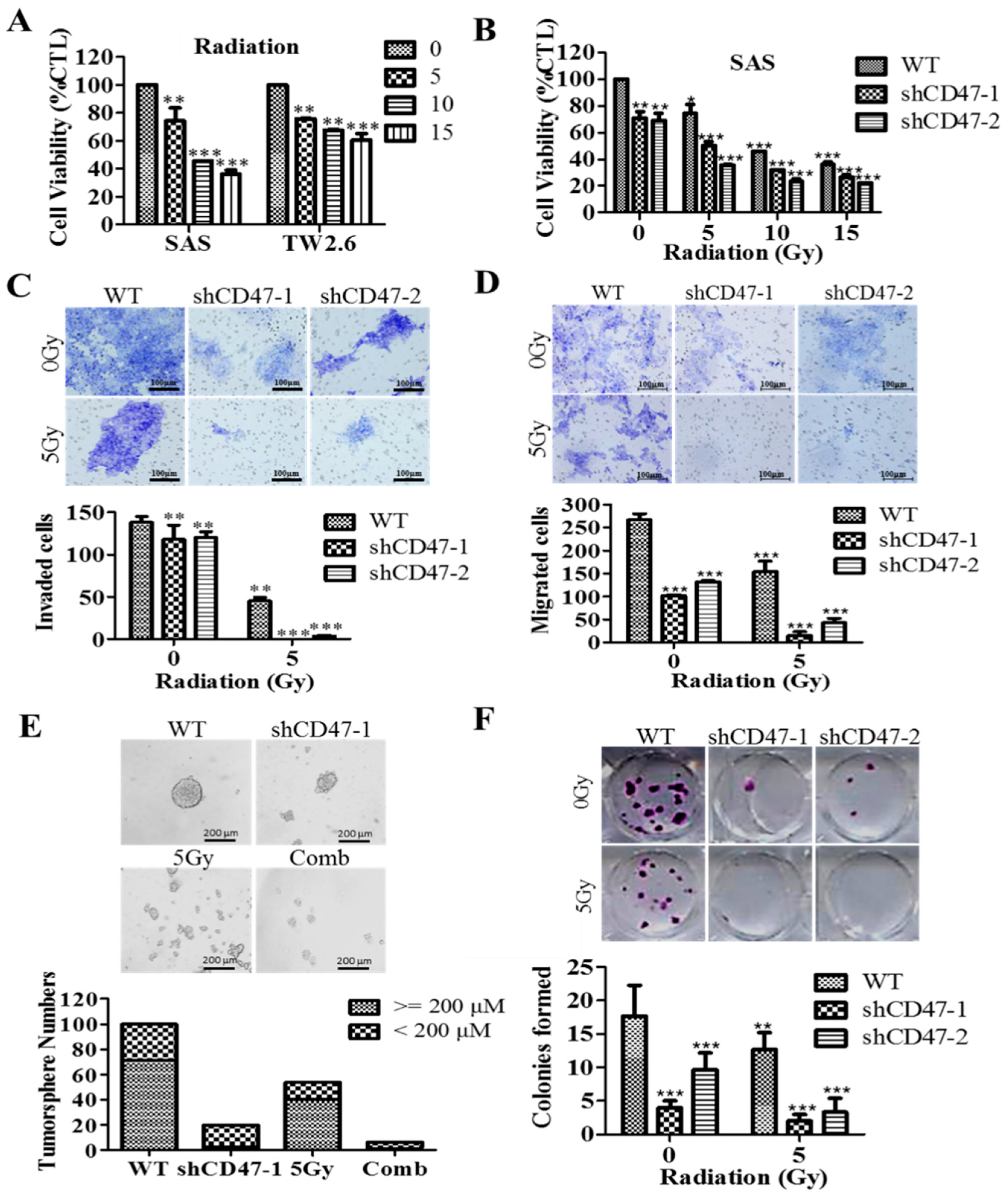 Cells 08 01658 g006 Cells 08 01658 g006