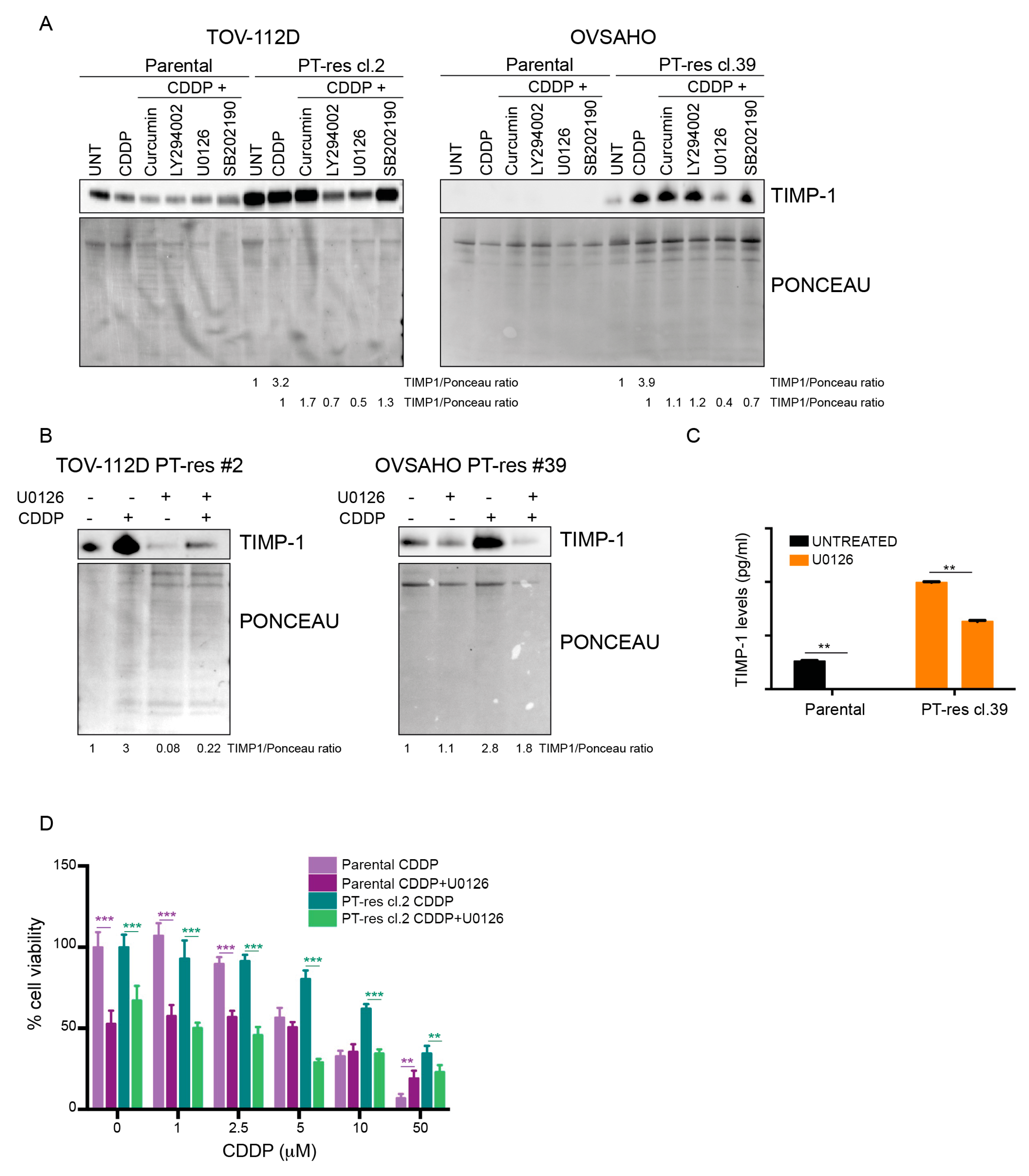 Cells 09 00006 g003 Cells 09 00006 g003