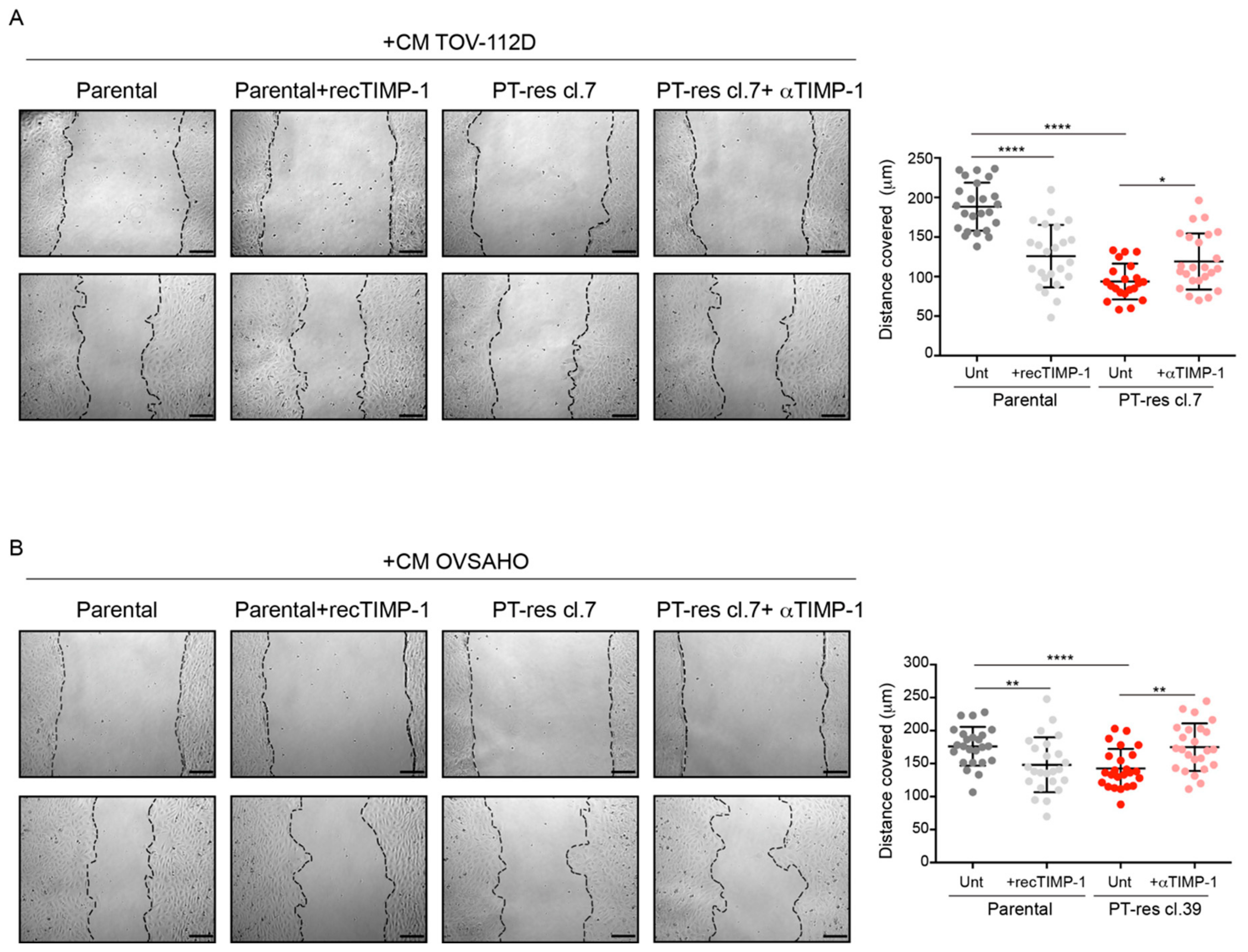 Cells 09 00006 g005 Cells 09 00006 g005