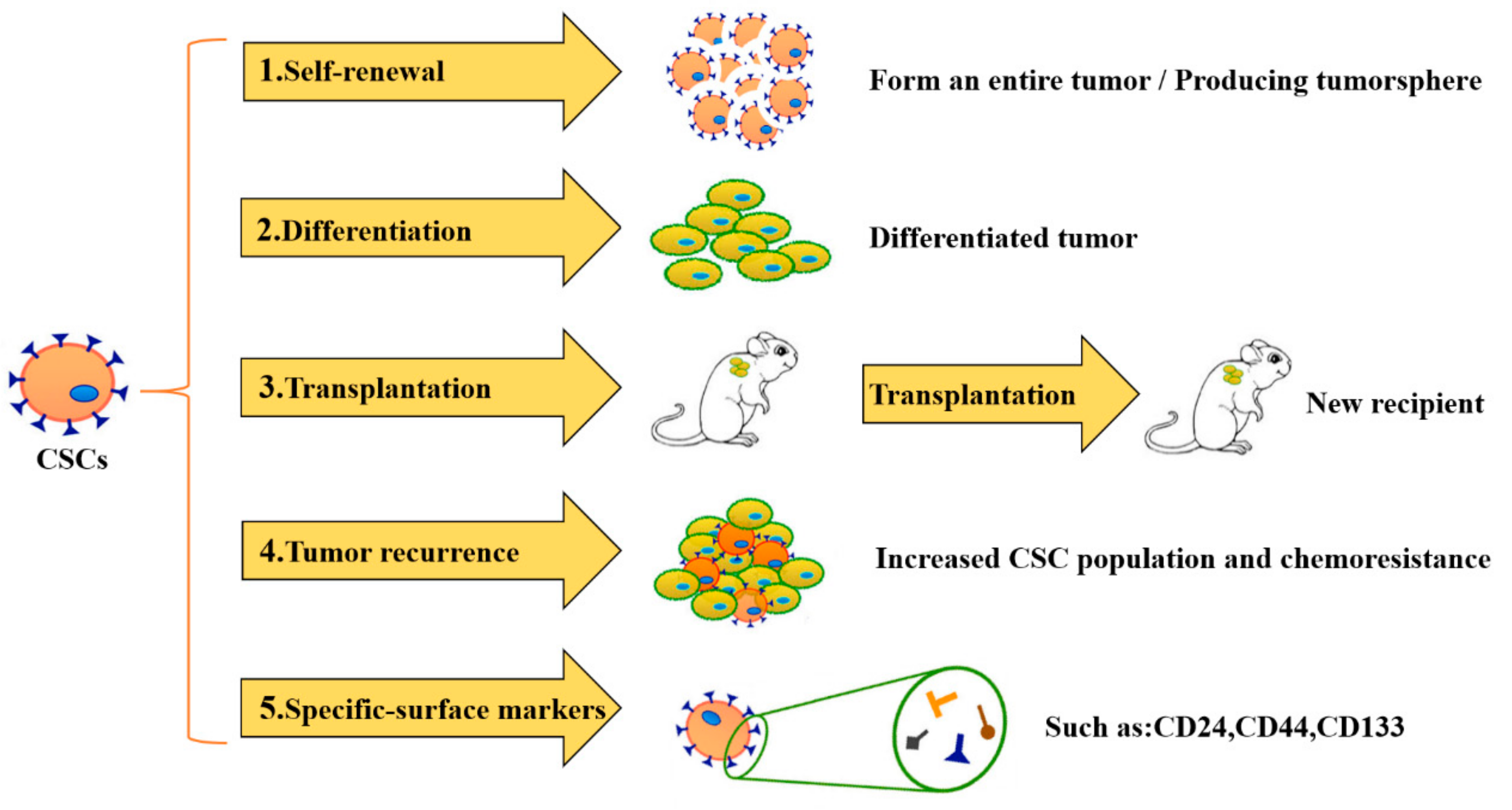 Cells 09 00008 g001