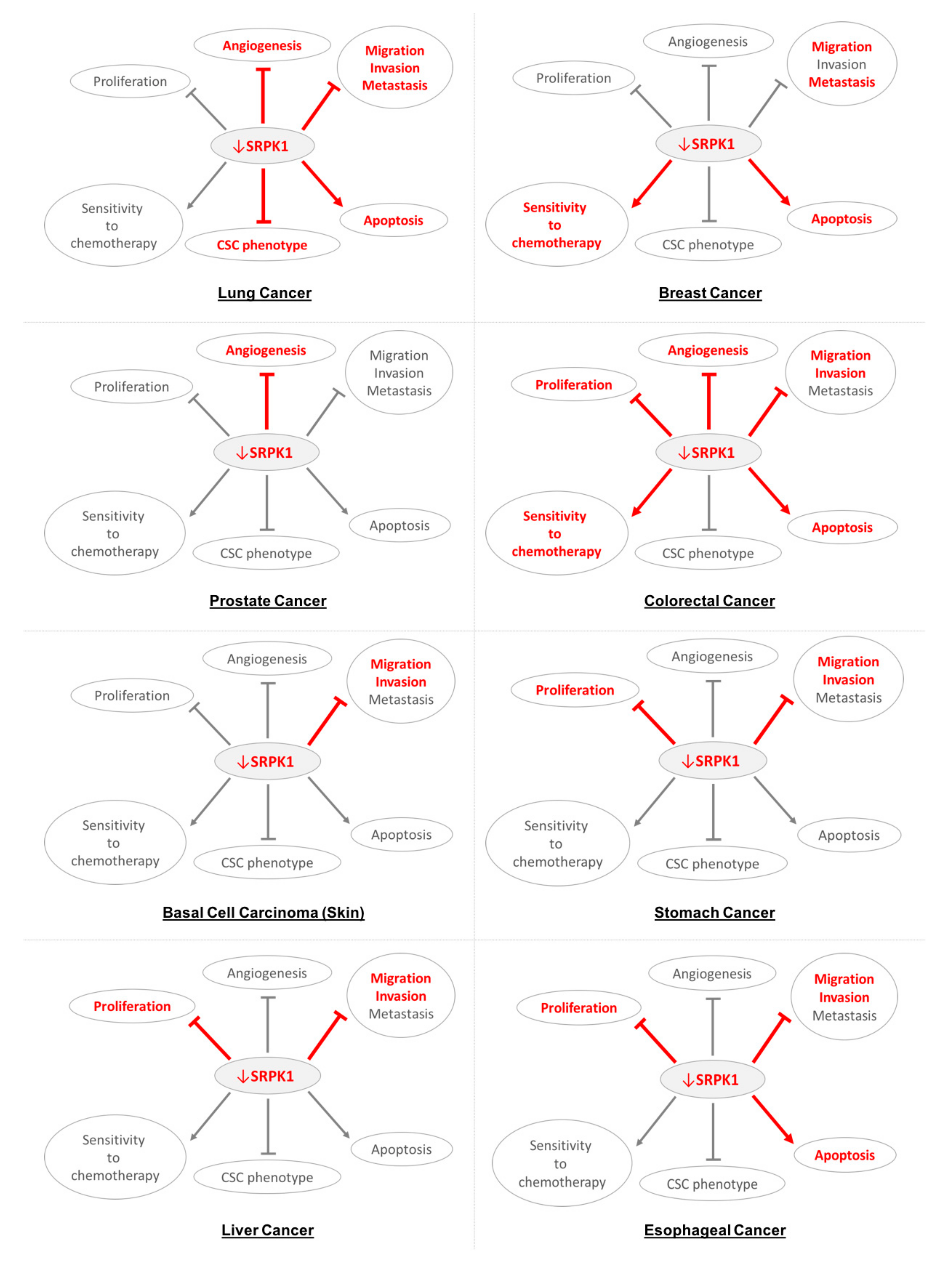 Cells 09 00019 g001a