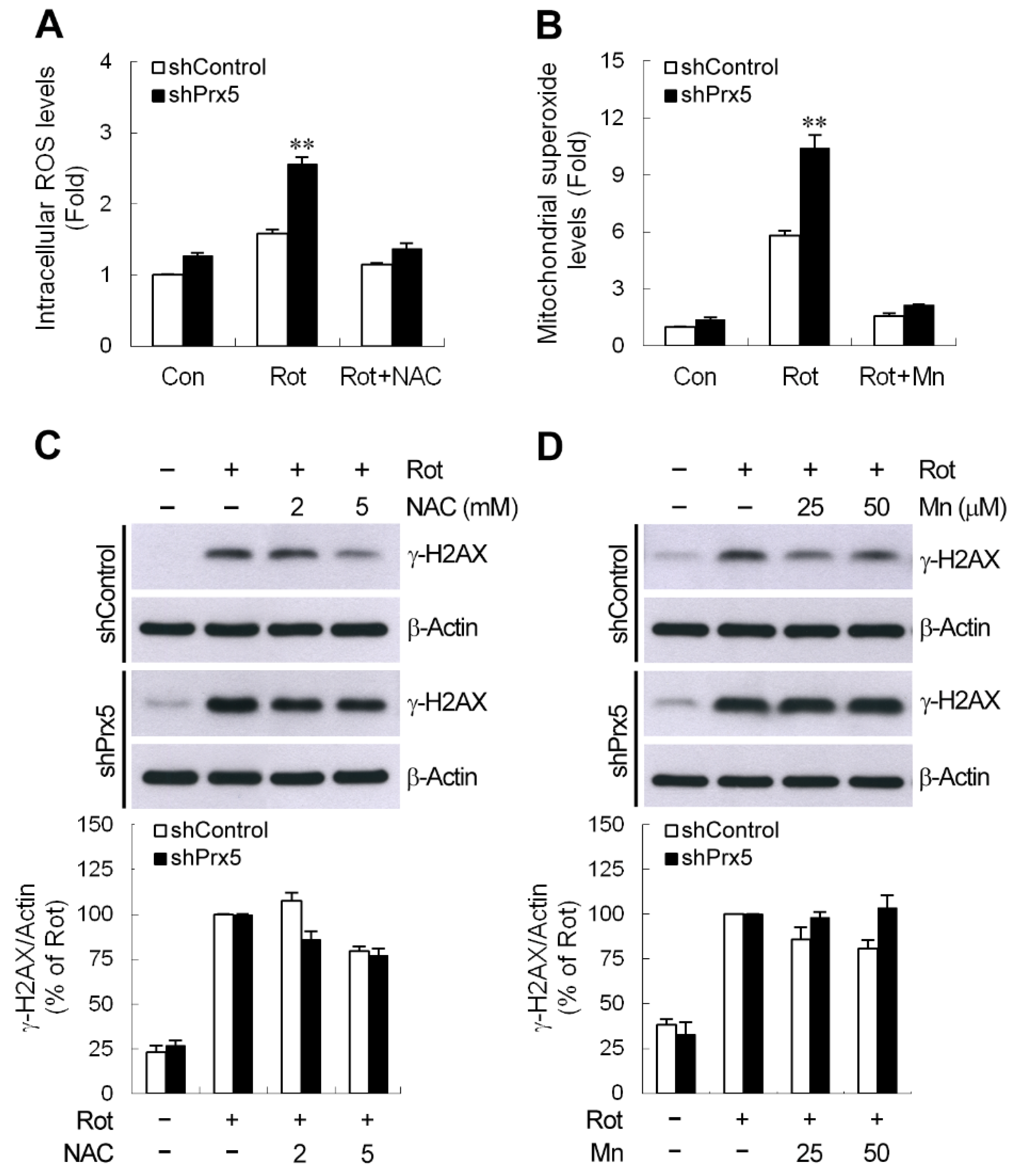 Cells 09 00022 g007a