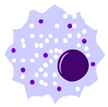 Cells 09 00026 i003