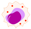 Cells 09 00026 i004