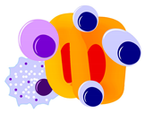 Cells 09 00026 i006