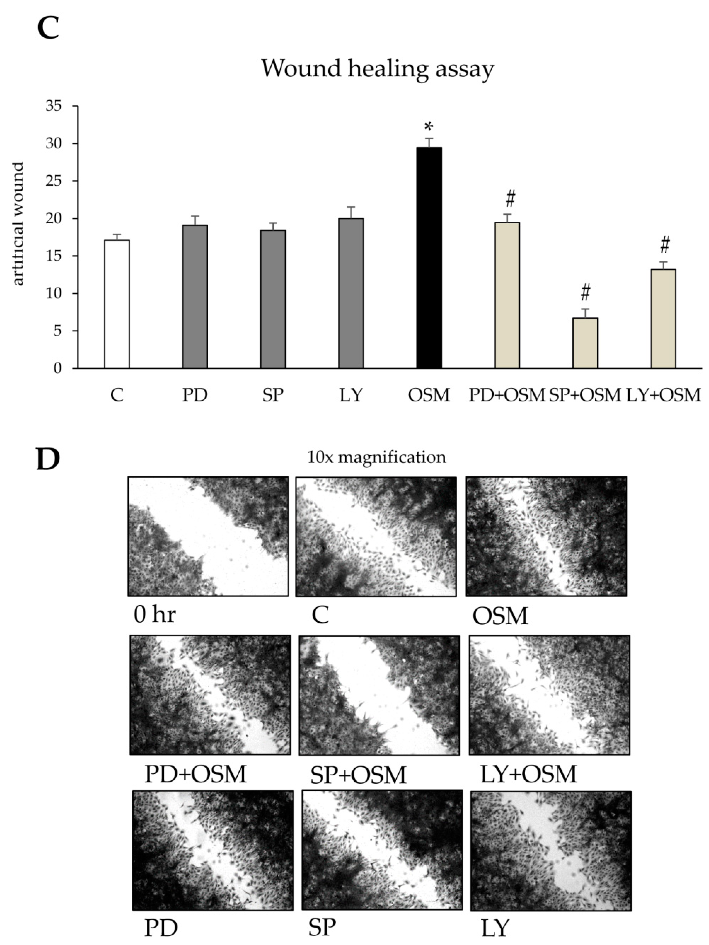 Cells 09 00028 g006b Cells 09 00028 g006b