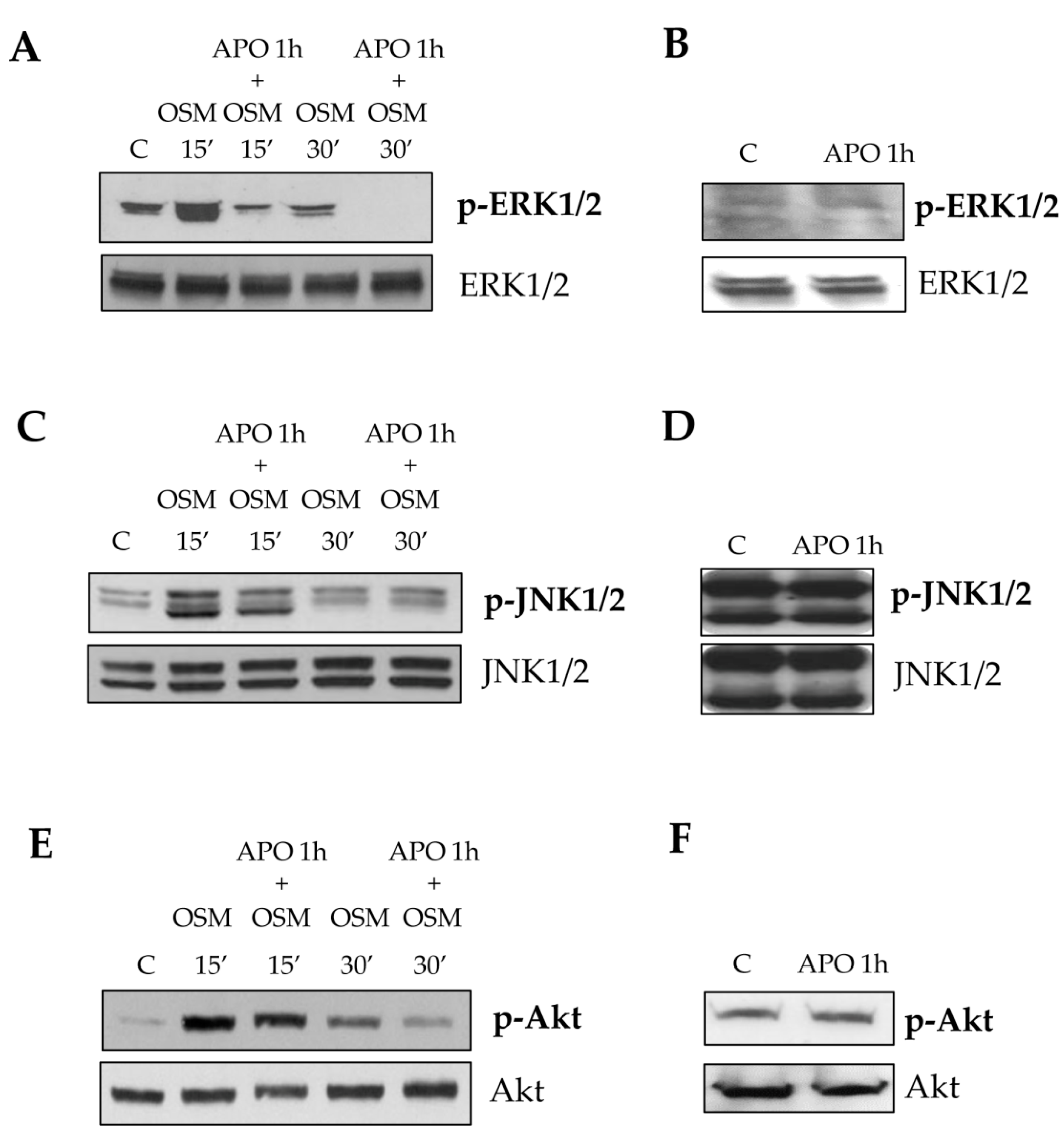 Cells 09 00028 g010 Cells 09 00028 g010