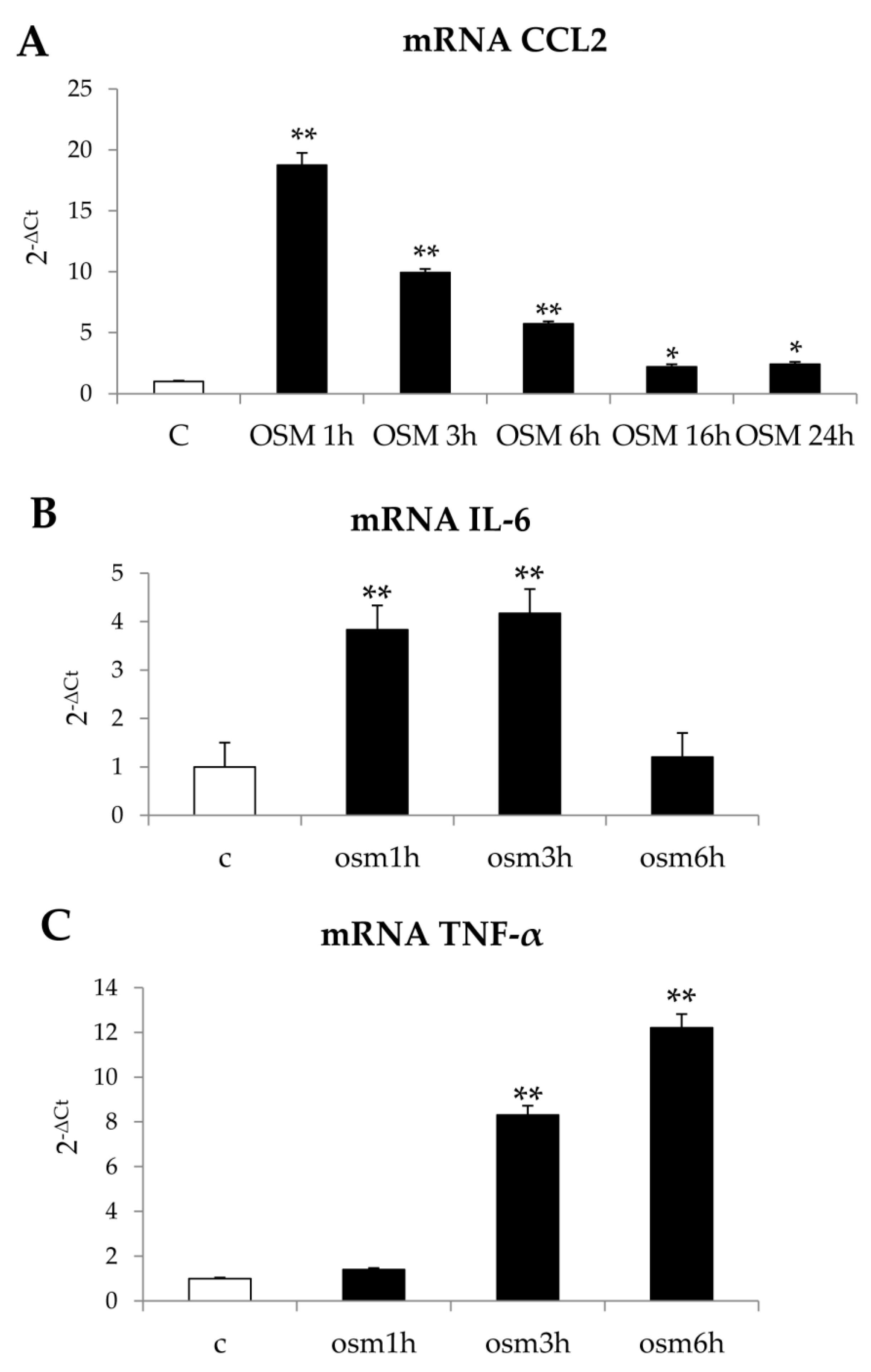 Cells 09 00028 g013 Cells 09 00028 g013