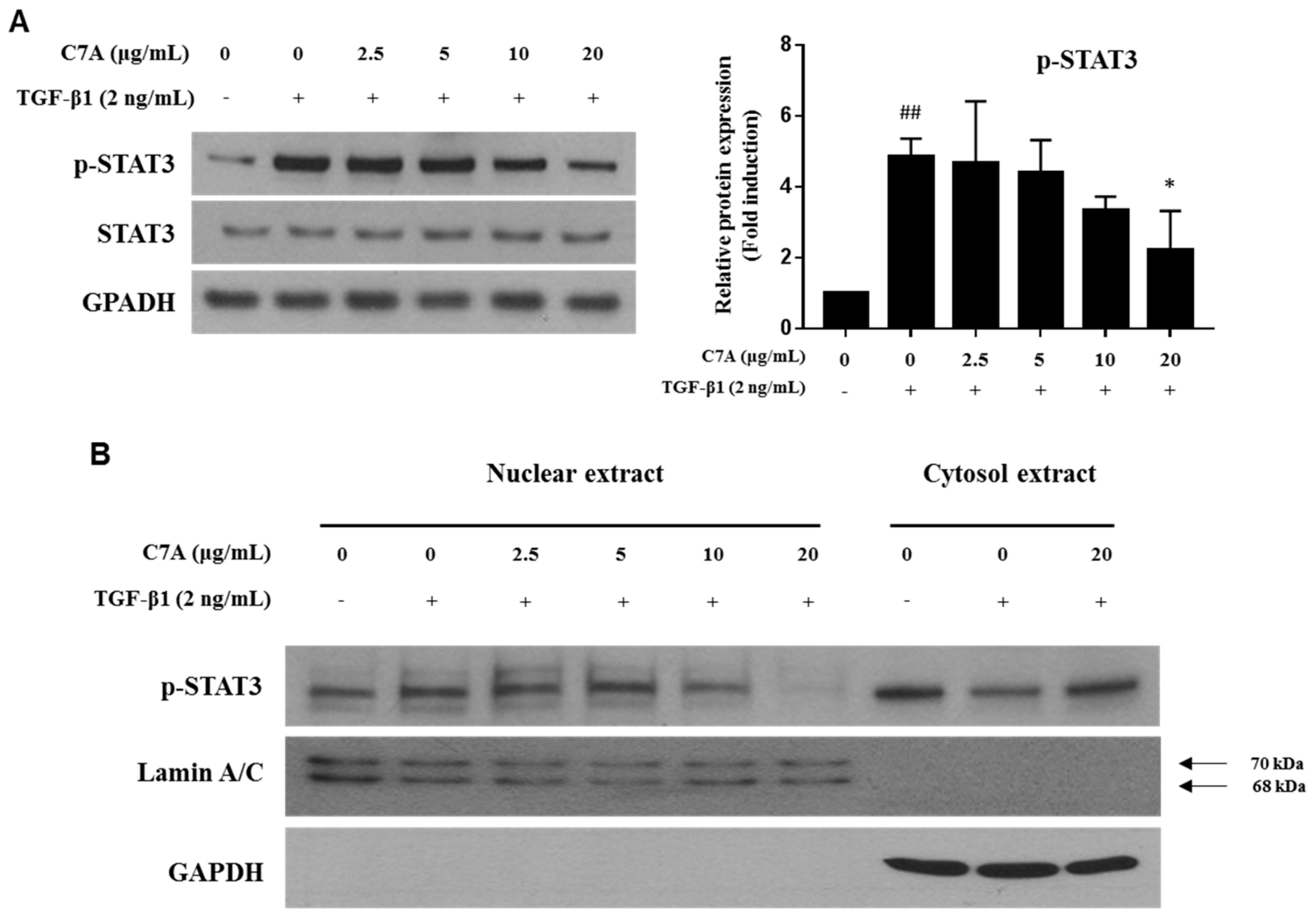 Cells 09 00030 g005a
