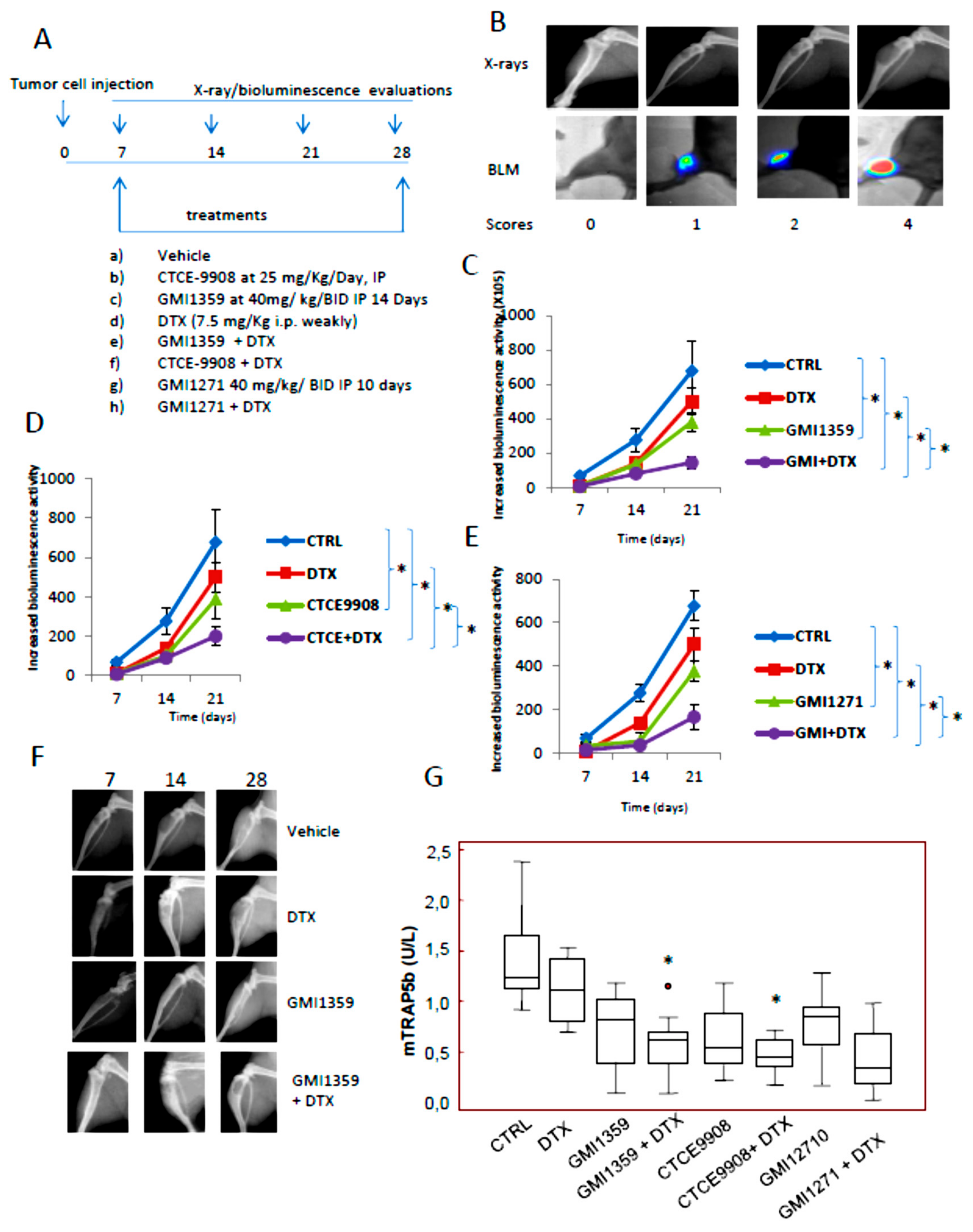 Cells 09 00032 g007a