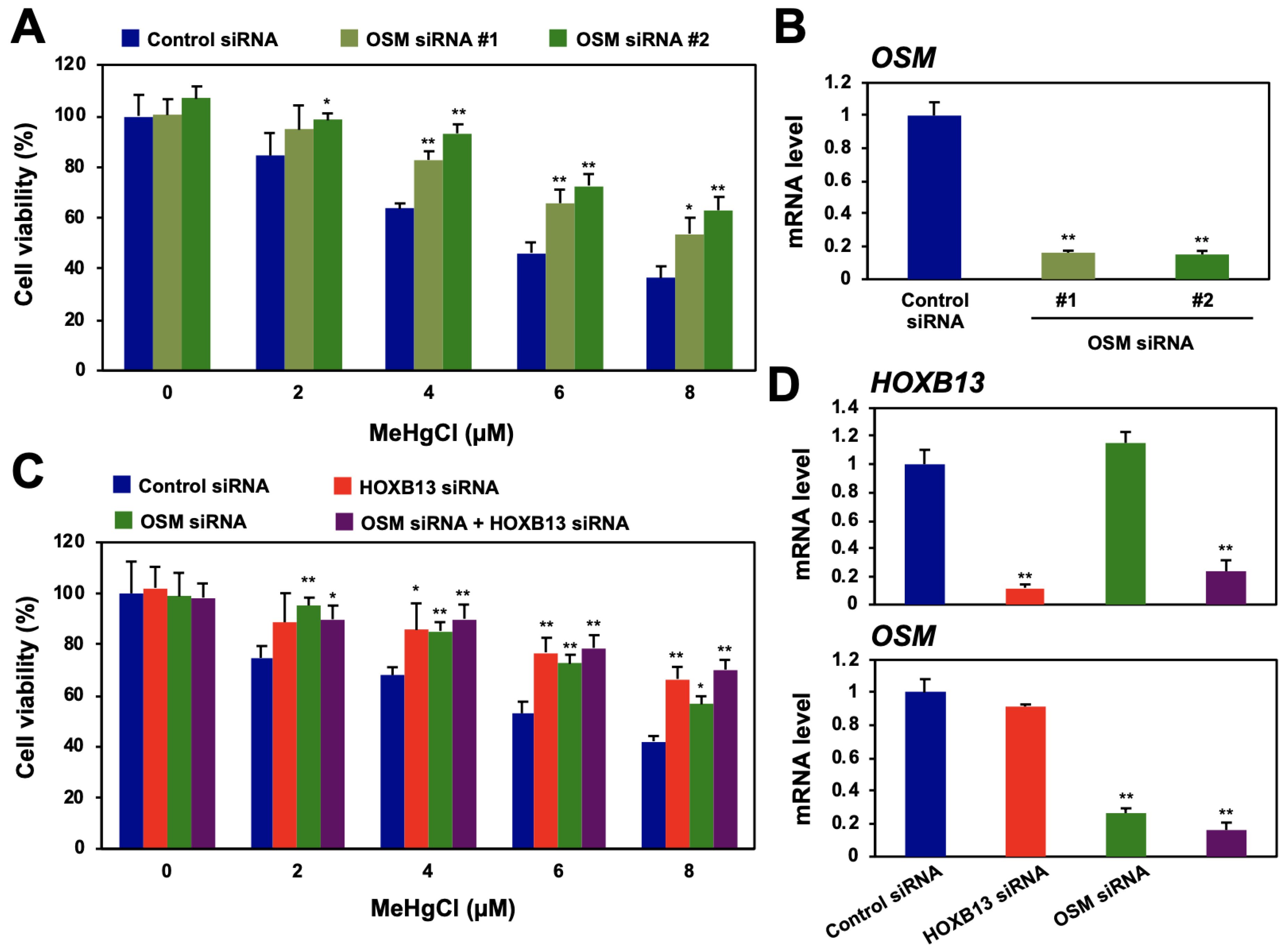 Cells 09 00045 g002 Cells 09 00045 g002