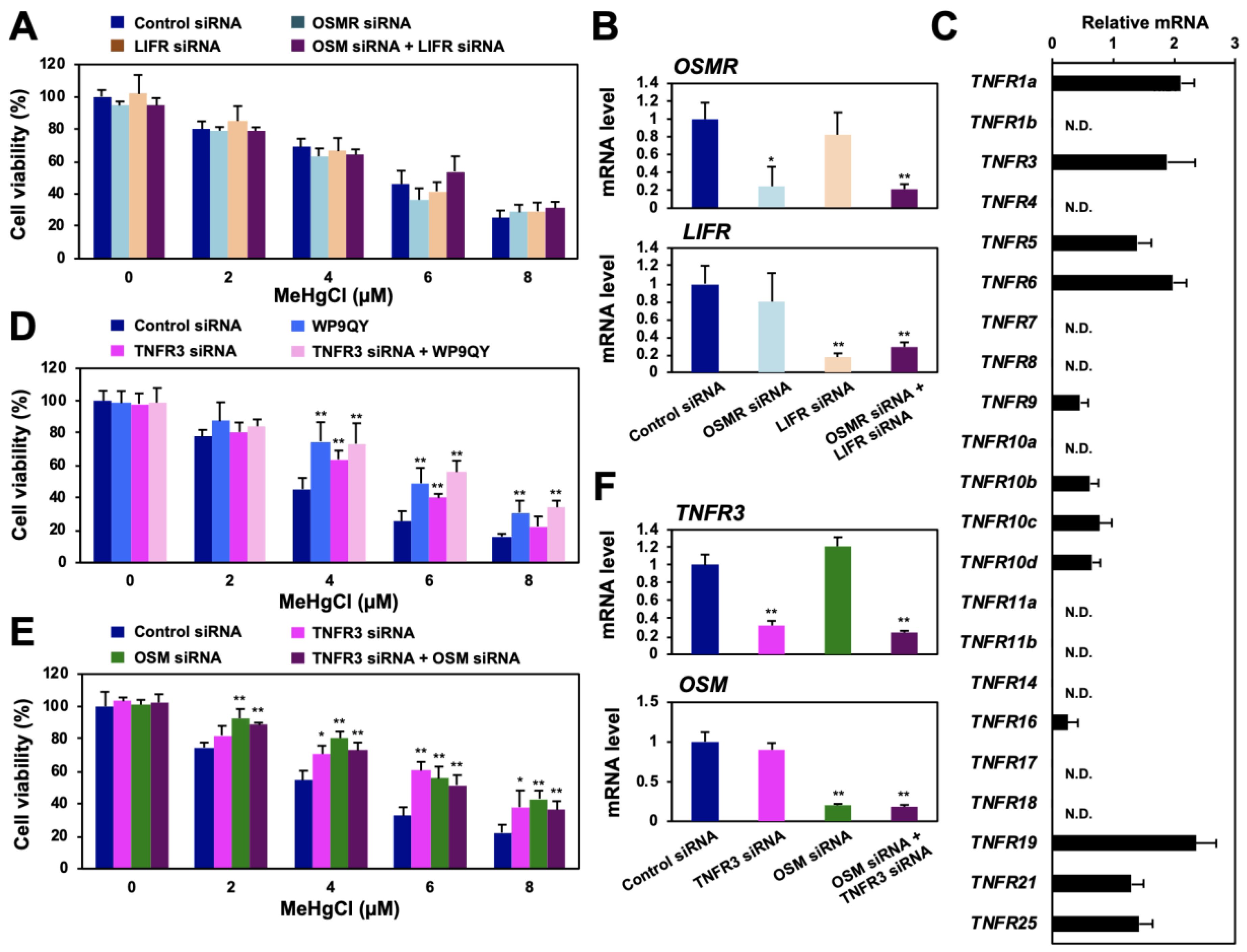 Cells 09 00045 g005 Cells 09 00045 g005