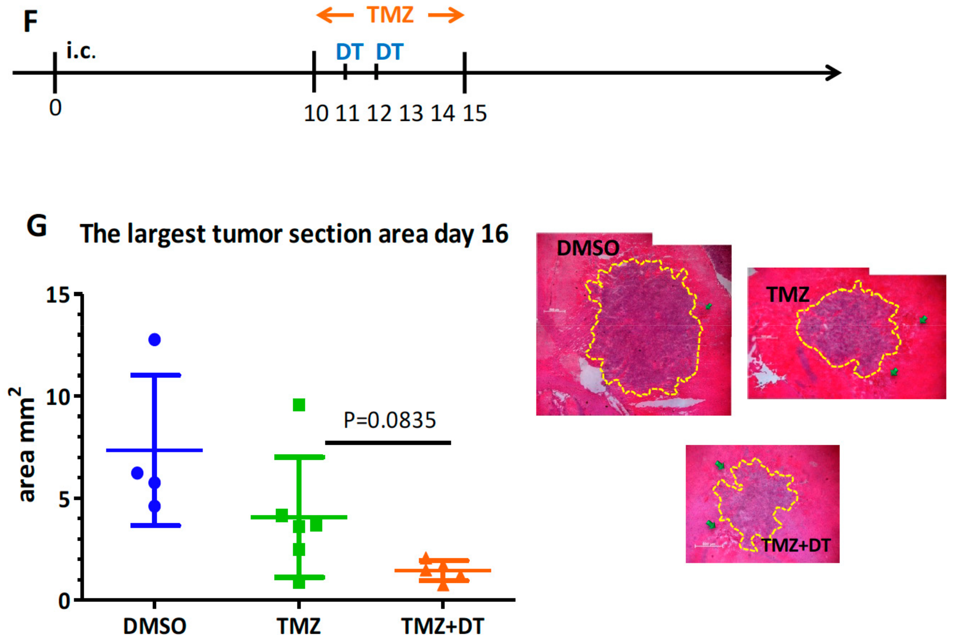 Cells 09 00051 g005b