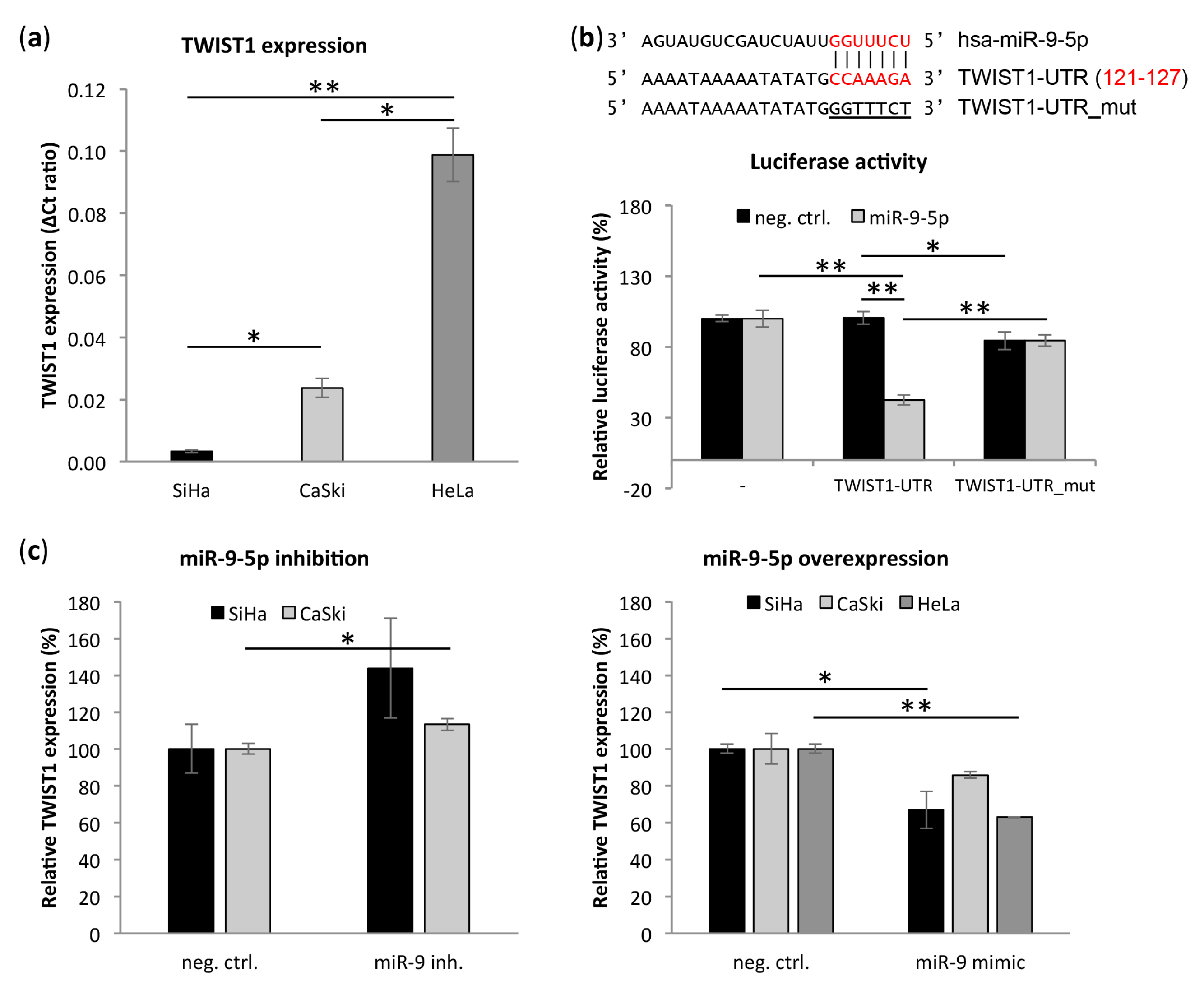 Cells 09 00065 g004 Cells 09 00065 g004
