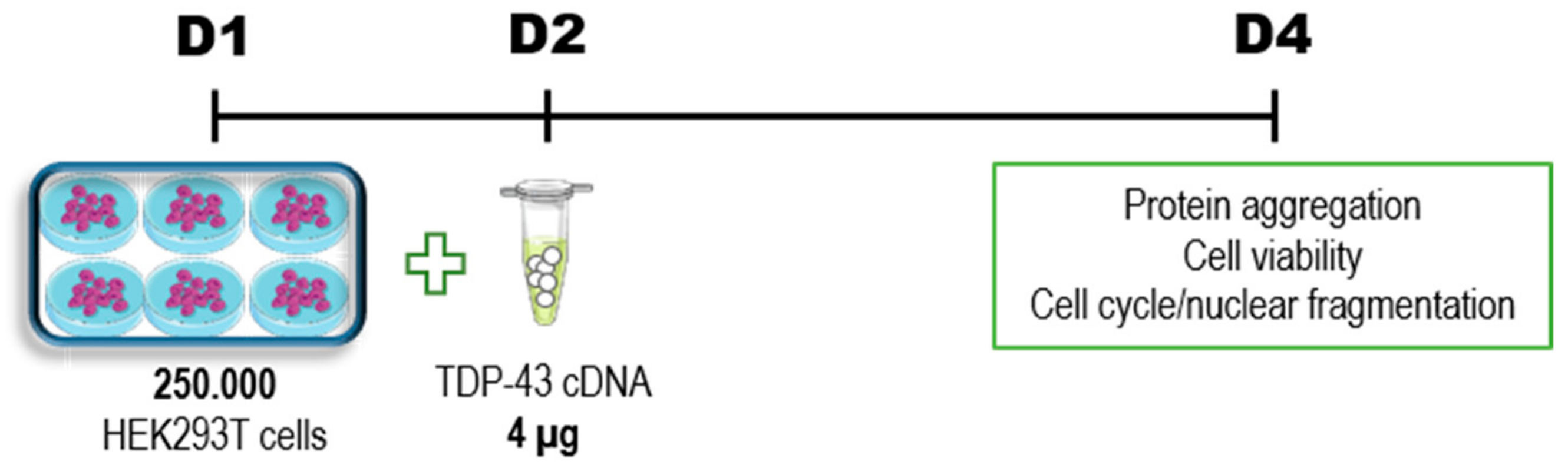 Cells 09 00068 g007 Cells 09 00068 g007