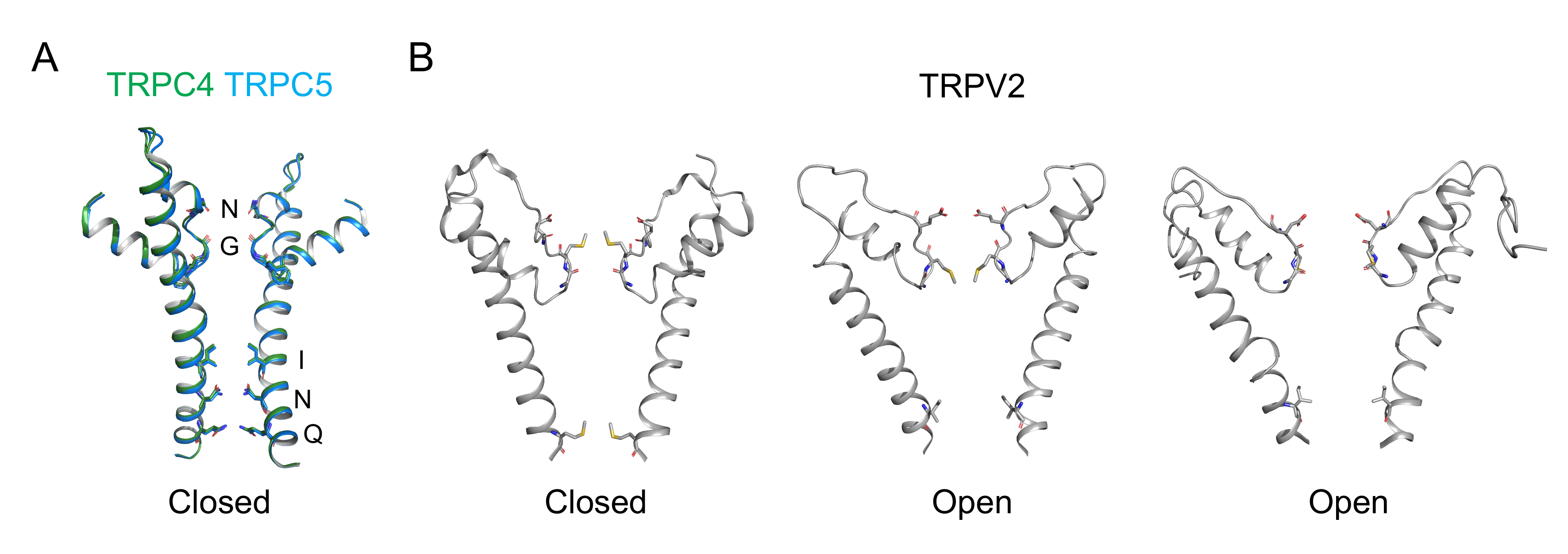 Cells 09 00073 g002 Cells 09 00073 g002