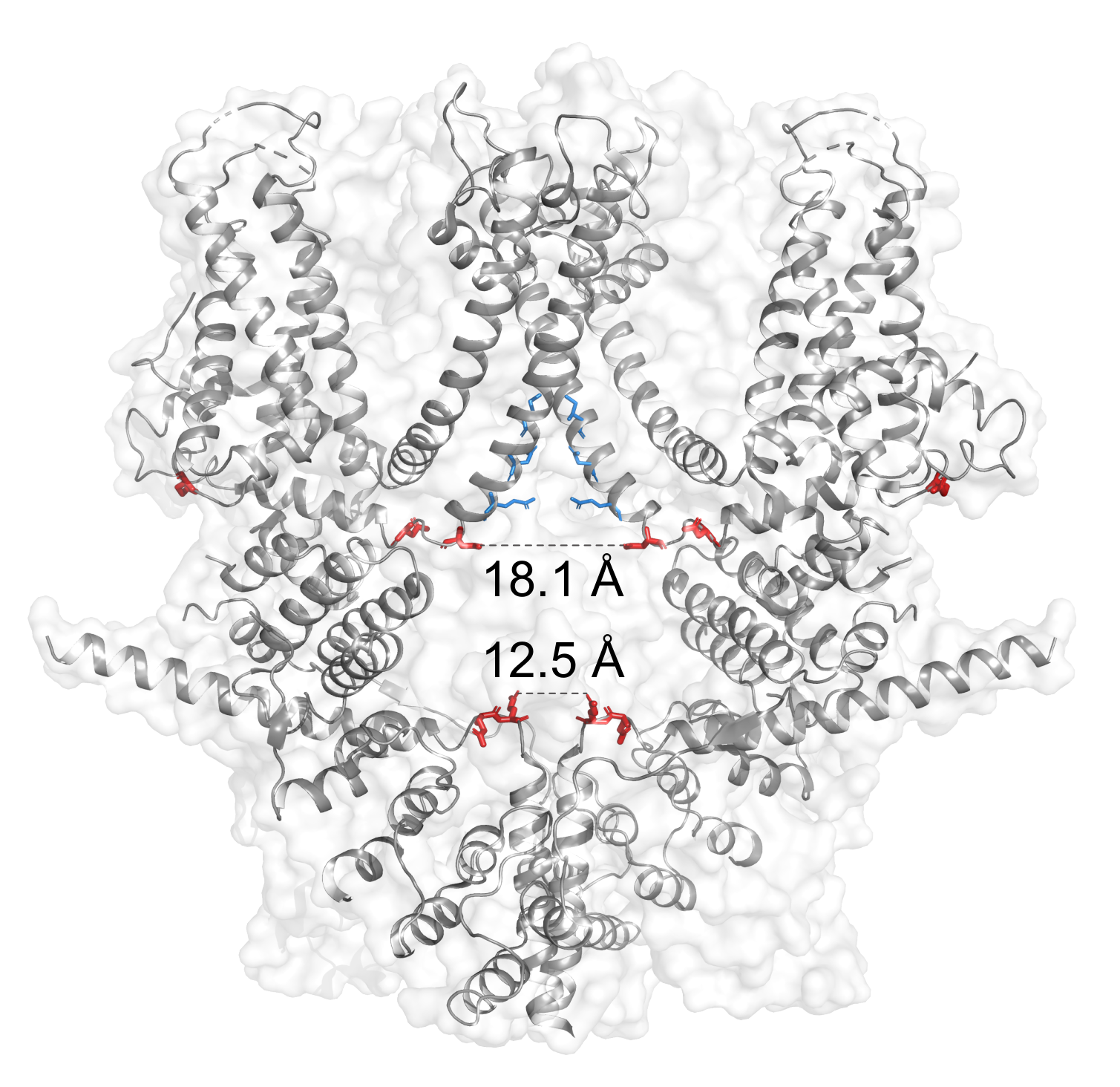 Cells 09 00073 g003 Cells 09 00073 g003