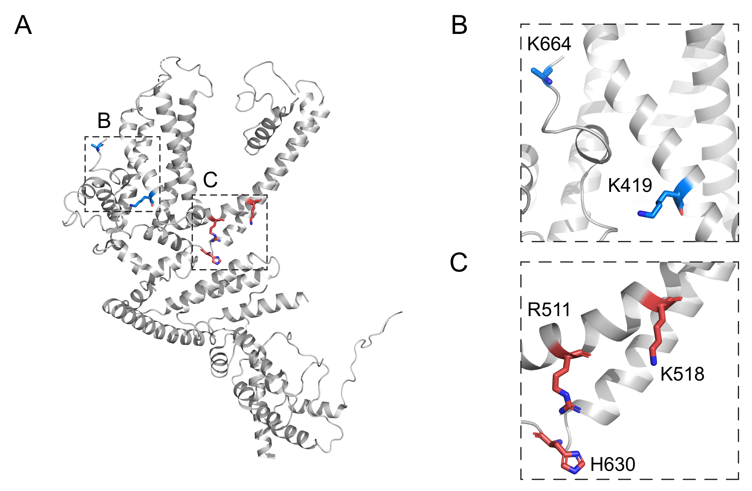 Cells 09 00073 g005 Cells 09 00073 g005