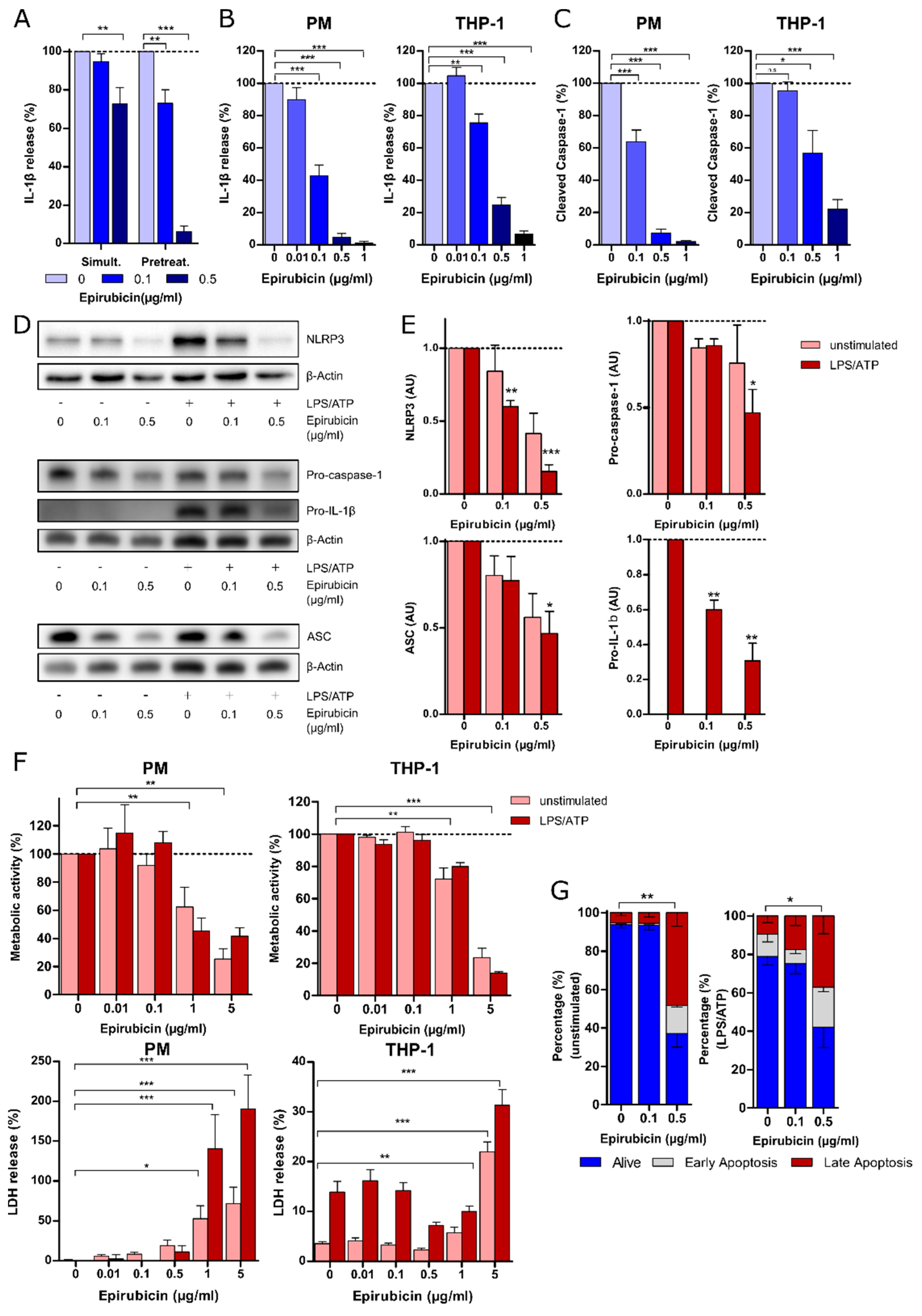 Cells 09 00079 g001 Cells 09 00079 g001